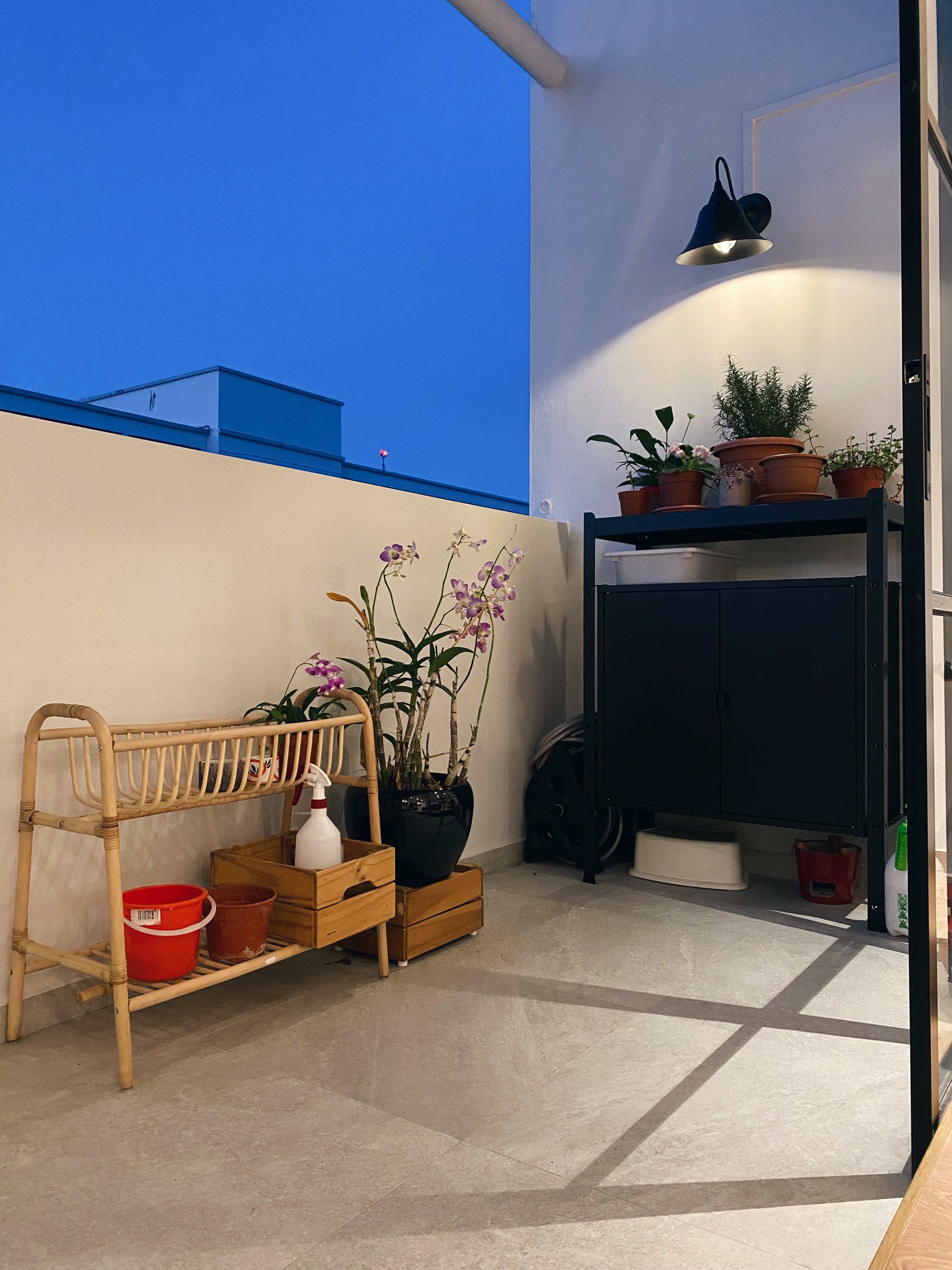 Our Balcony:🪴Little Space, Many Potential!☁️ - vibrant orchids, indoor garden, potted plants, bamboo rack, red bucket, black