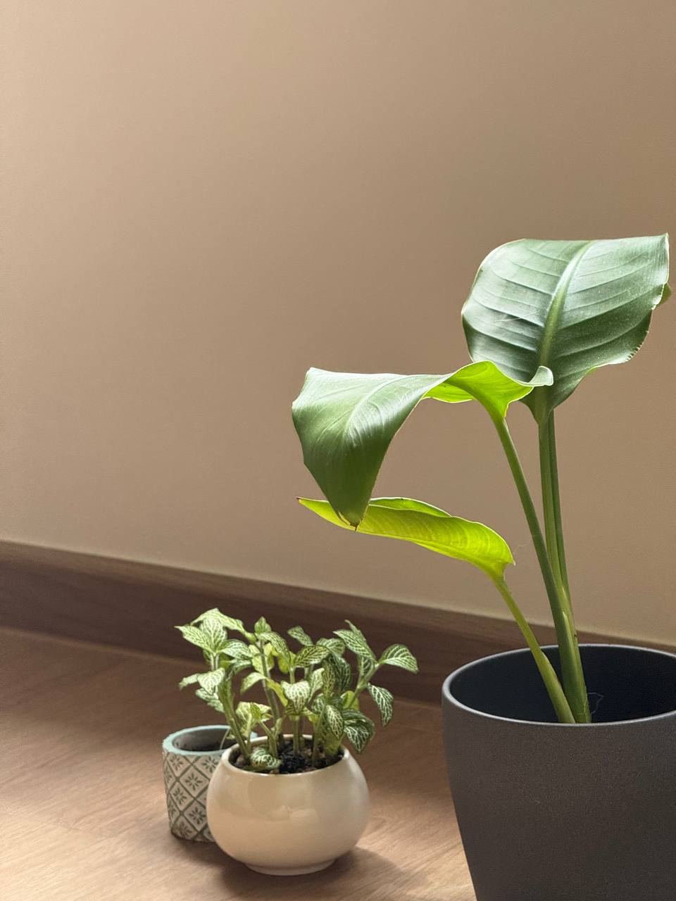 Plants: Real -> Faux -> Lego - Green potted plants, minimalist decor, indoor plants, nature-inspired decor, indoor greenery