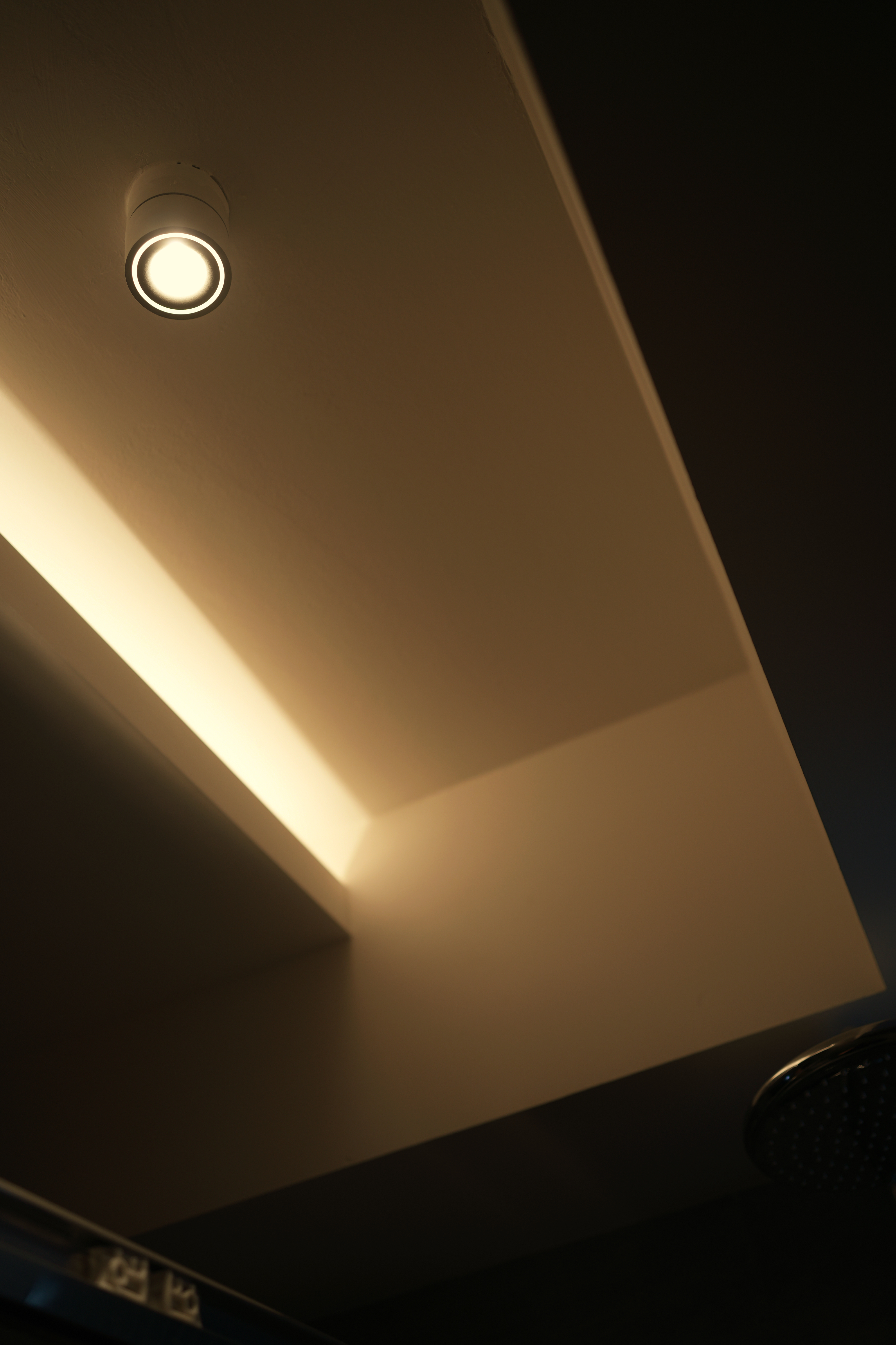 Our Bathroom: Dual Showers, Onsen Style Sit-Downs & A Powder Room - Modern ceiling light fixture, warm ambient lighting