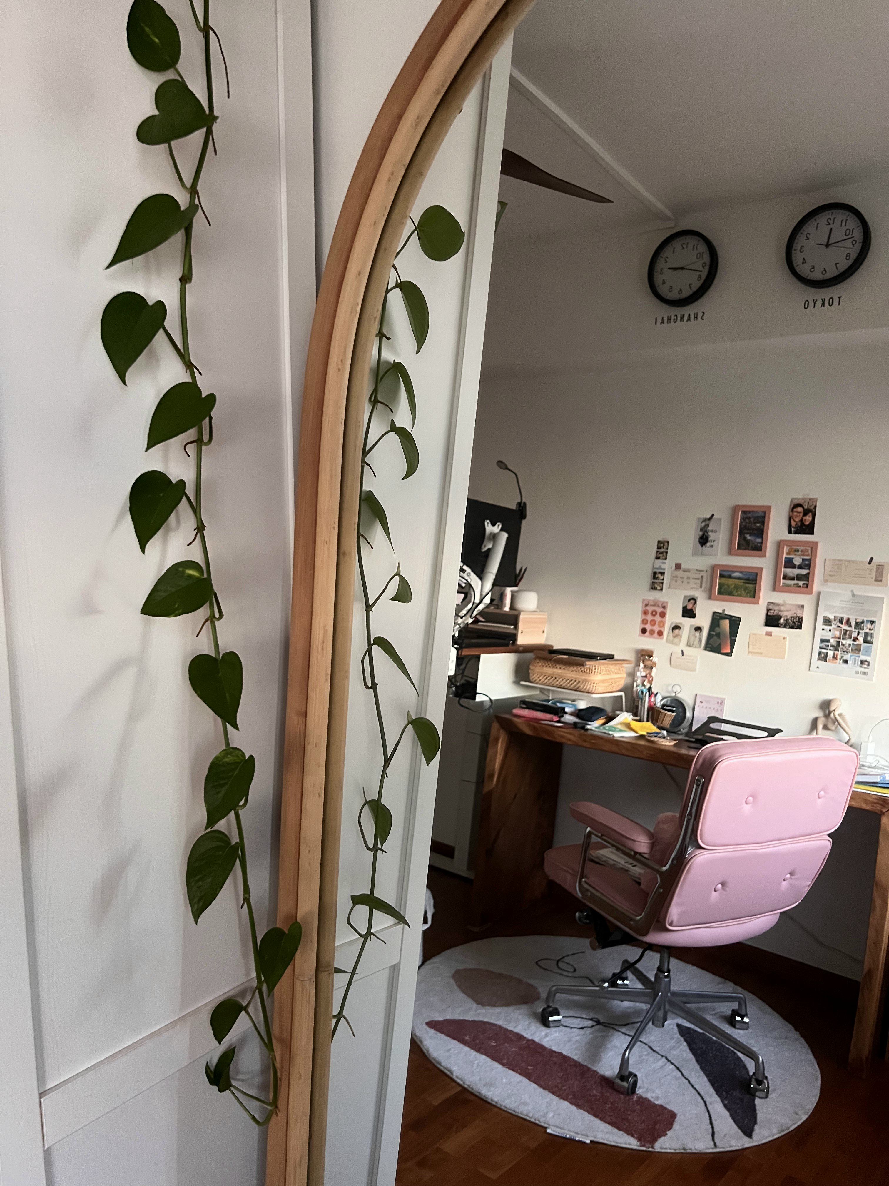 Indoor-Jungle-in-a-North-facing-4rm-HDB-with-Floor-to-Ceiling-Windows