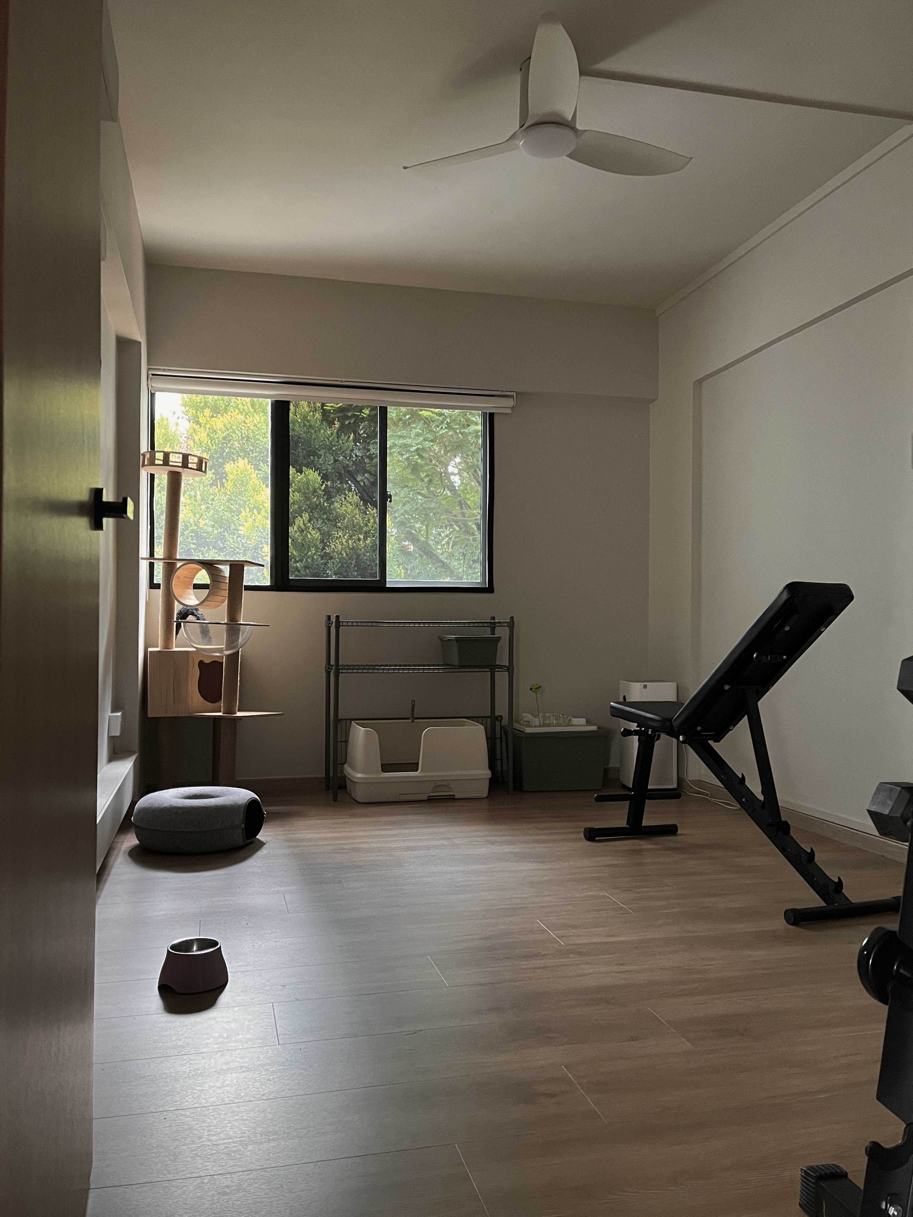 Extra Room - Cat Playground and Home Gym - Wooden cat tree, exercise bike, black exercise bench, gray cushion, exercise