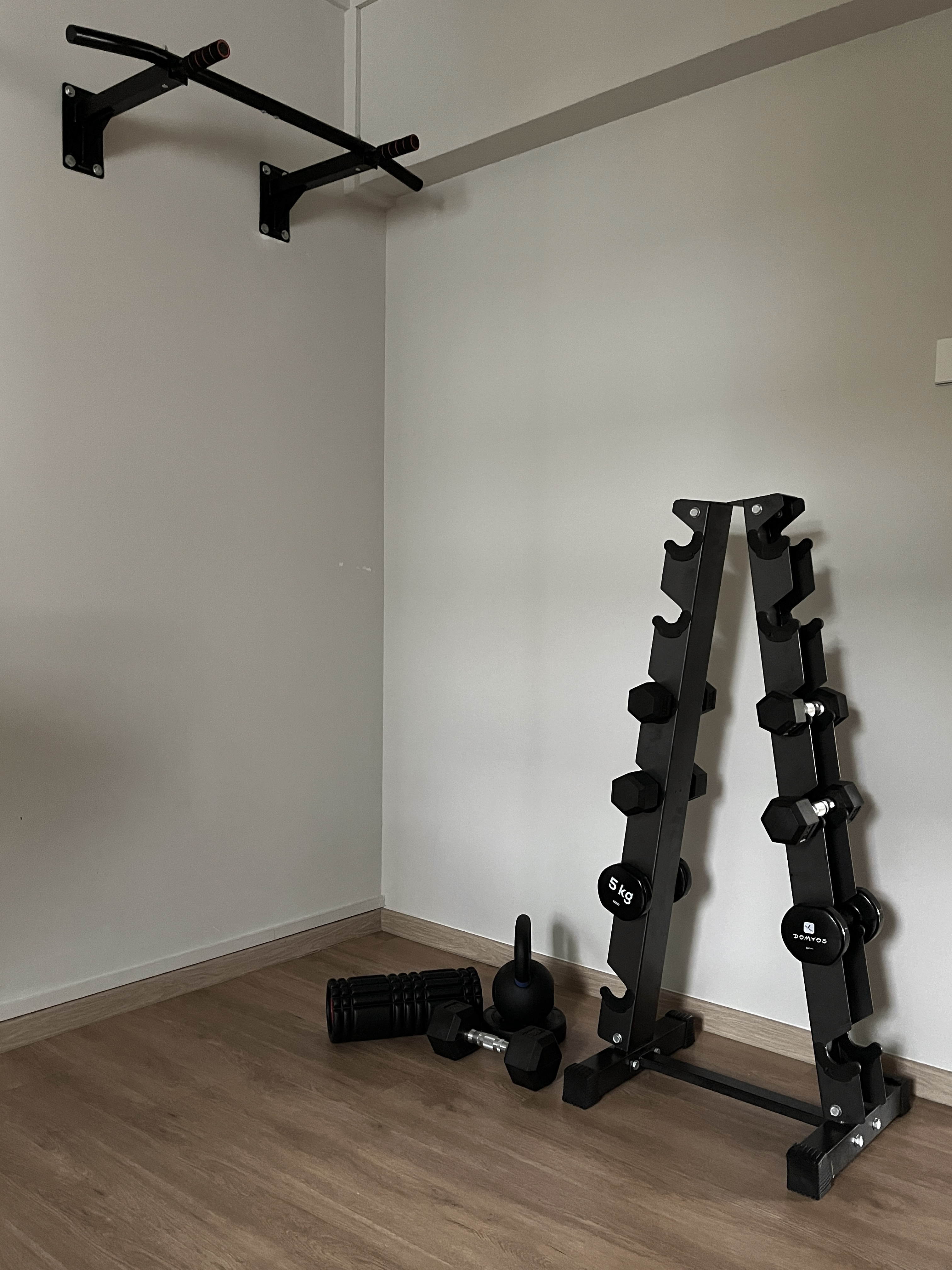 Extra Room - Cat Playground and Home Gym - Black exercise machine, black dumbbells, wooden floor, black wall-mounted rack
