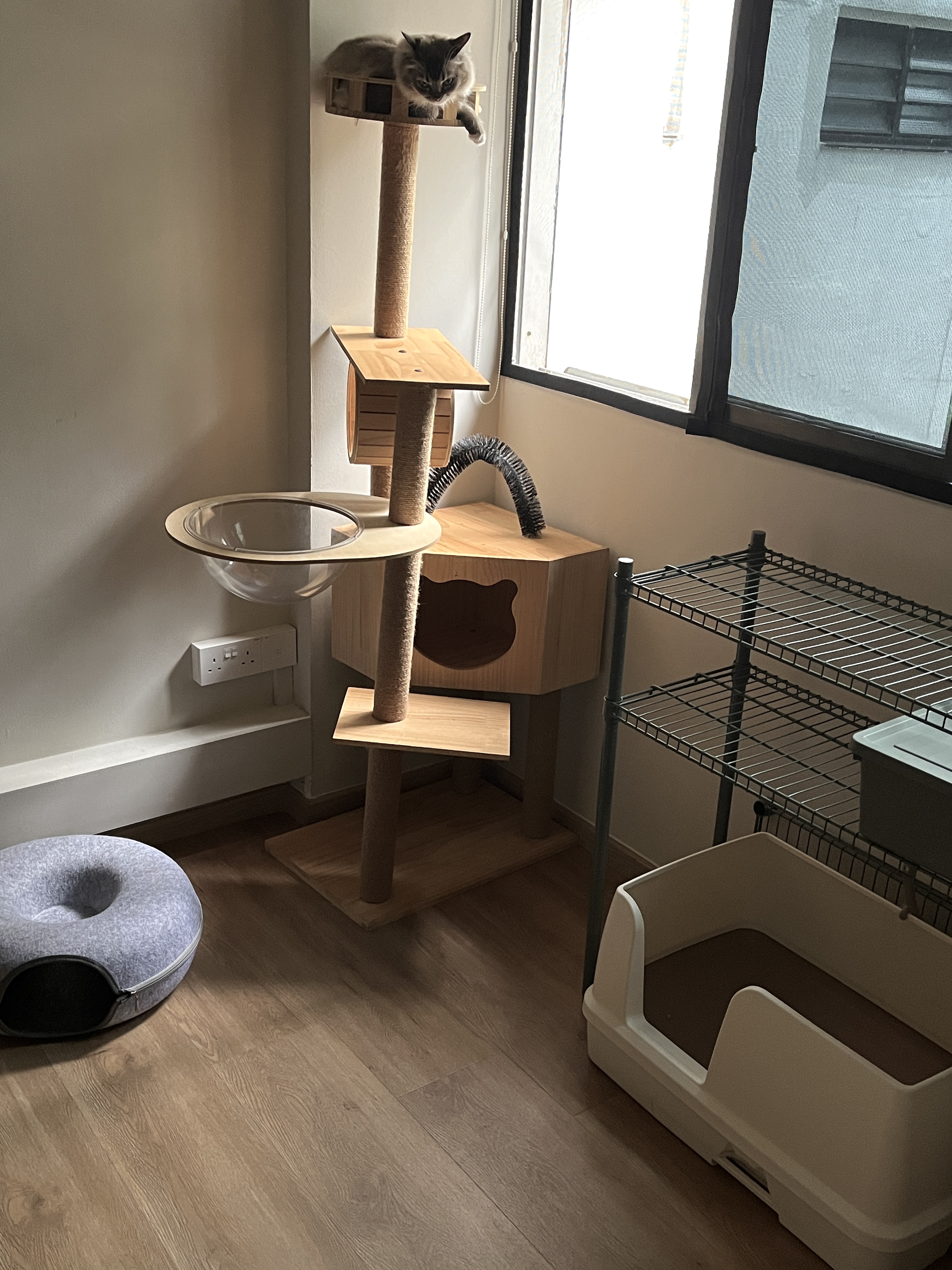 Extra Room - Cat Playground and Home Gym - cat tree, wooden cat tower, scratching post, scratching post with cat, cat house