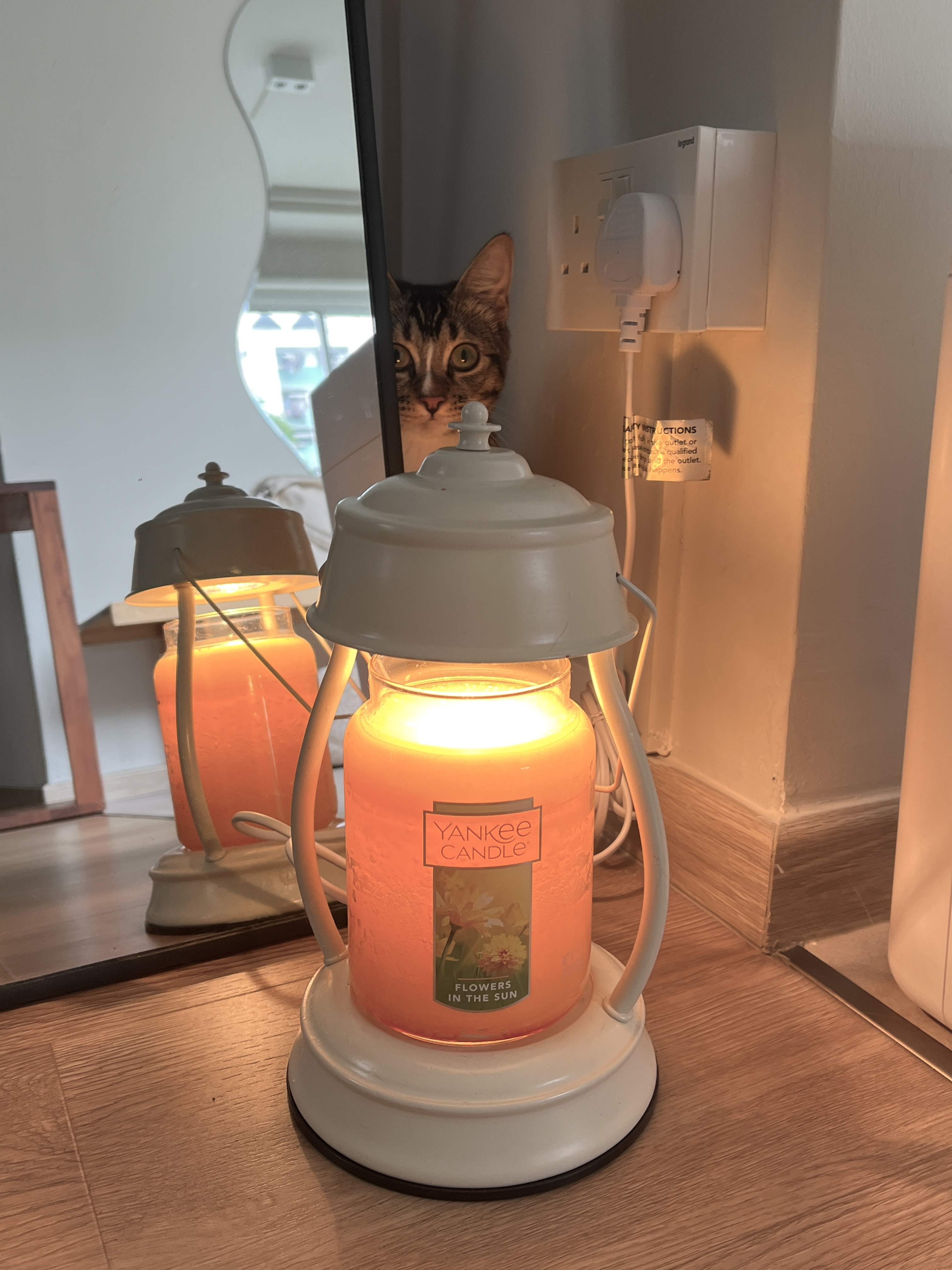 Cozy corner - Reminder to slow down and stay present - Candle holder with "Yankee Candle" label, orange candle inside, cat