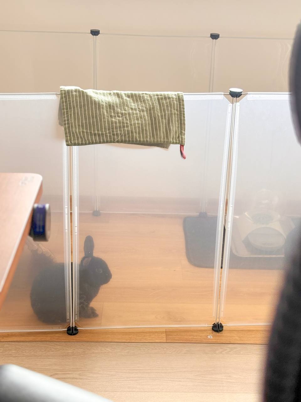 $1k-vs-$10-Study-Room