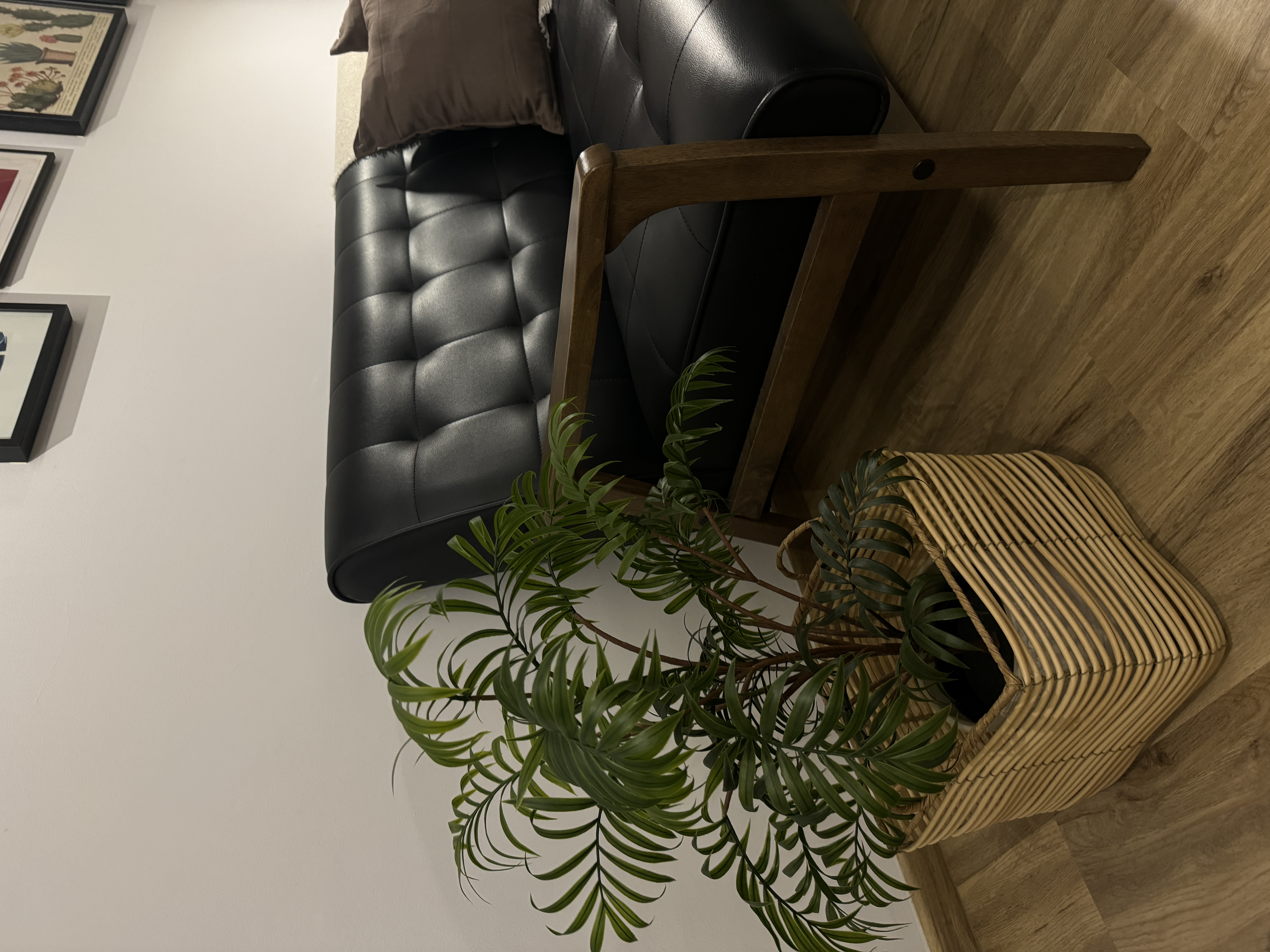 A characterful living room - modern living room, cozy seating, black leather couch, wooden armchair, indoor plant, green