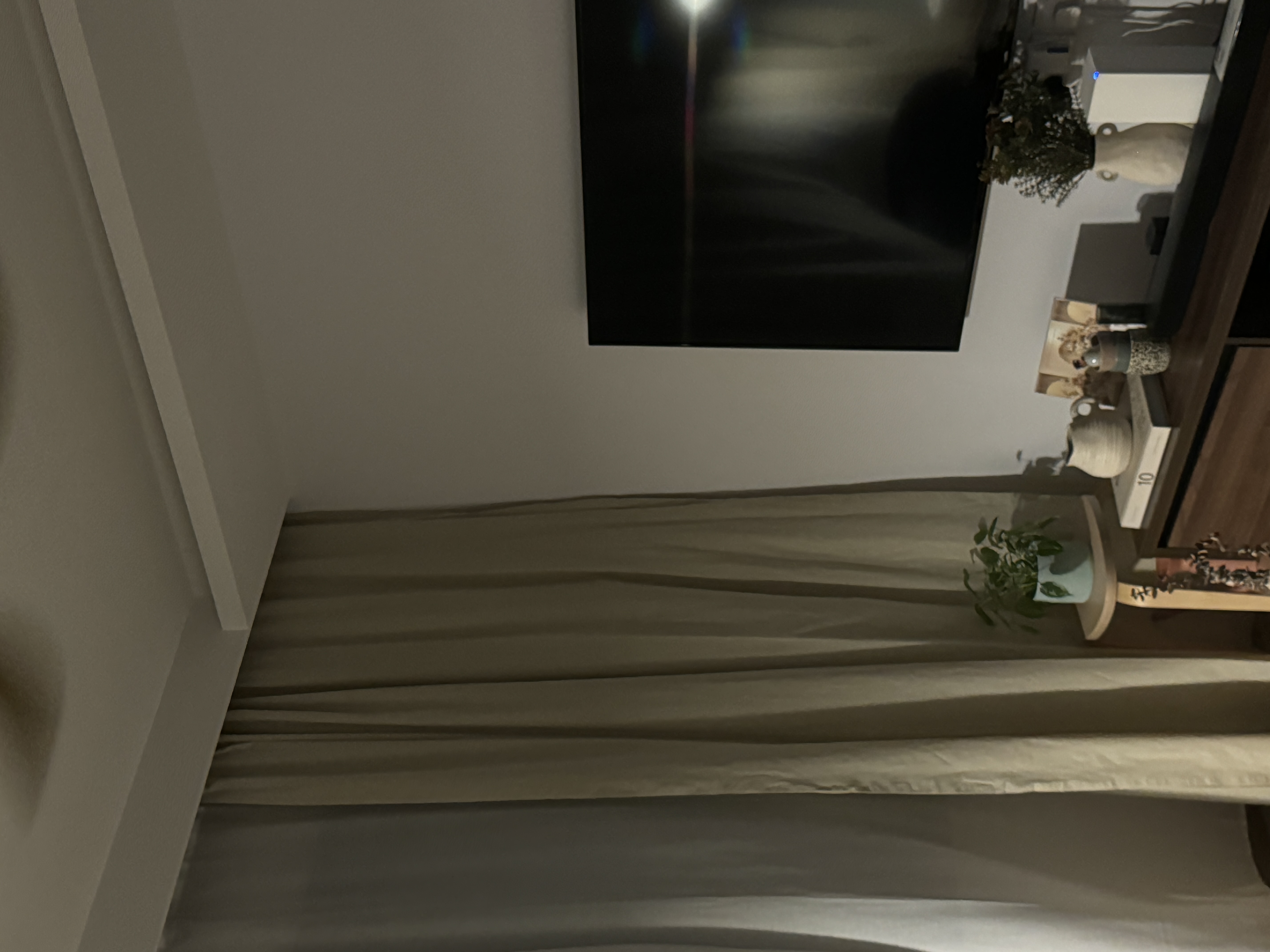 A characterful living room - Modern minimalist decor, soft beige curtains, sleek black TV, white wall, indoor plants, cozy