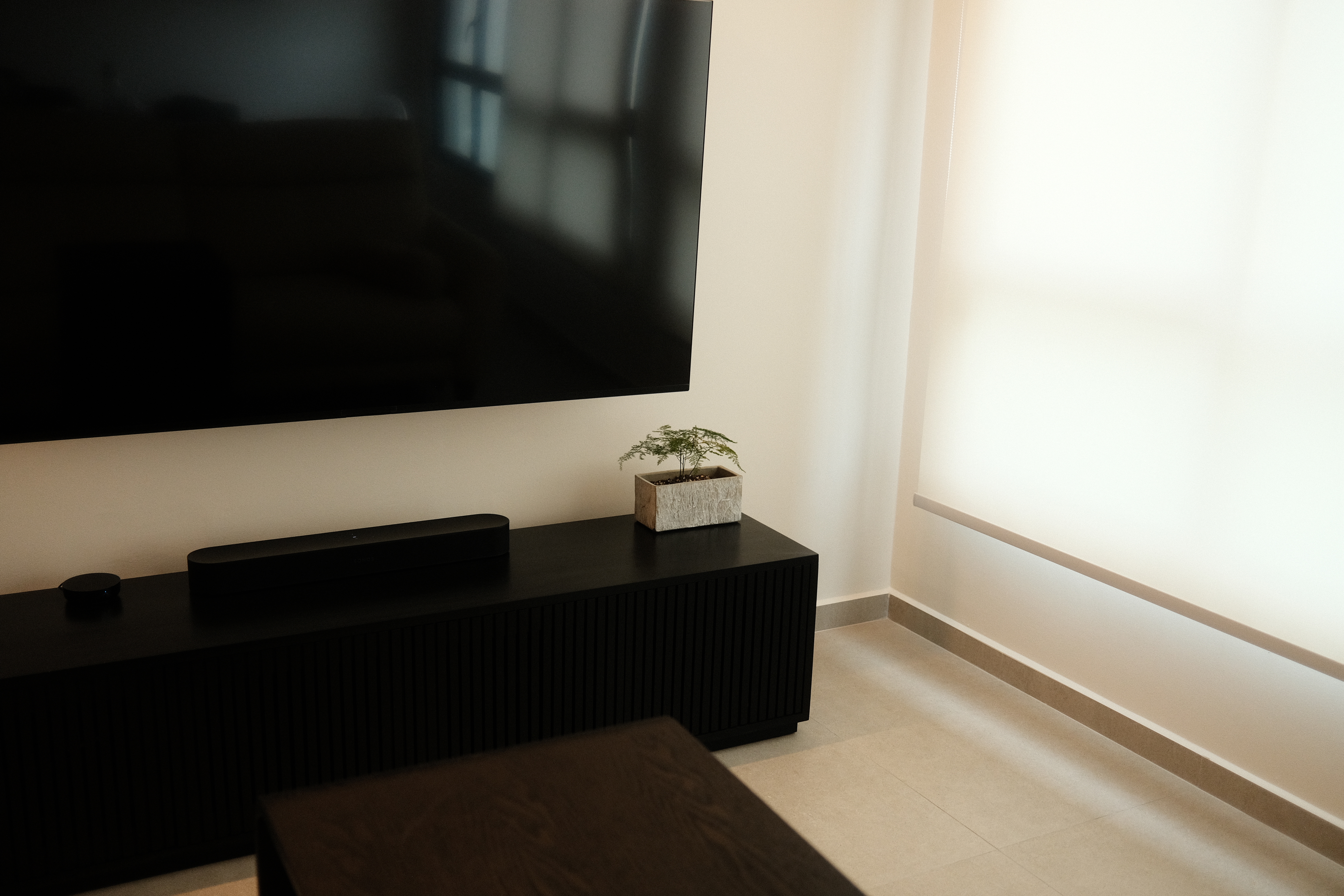 Our-only-plants-in-our-Japandi-Home