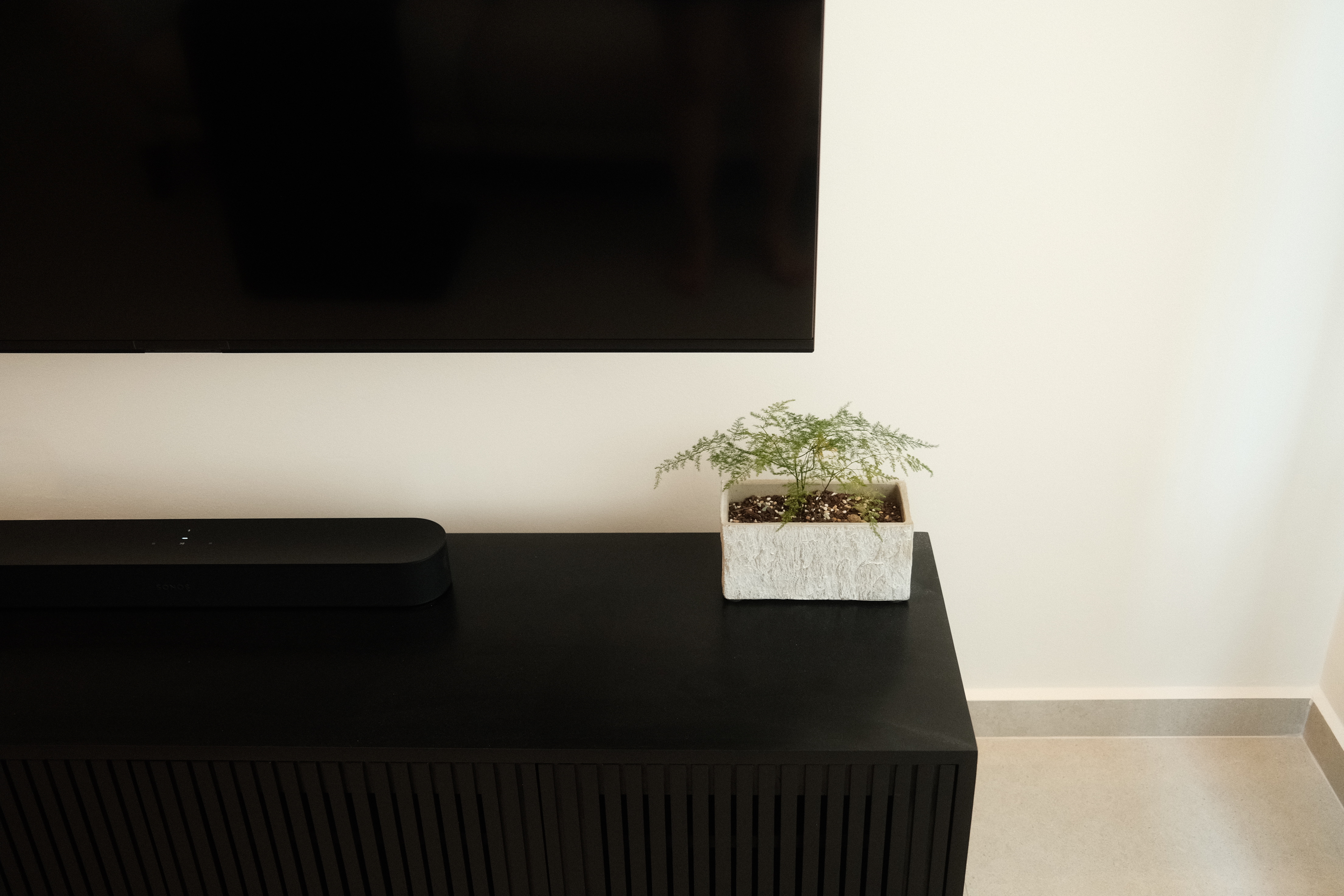 Our only plants in our Japandi Home - Black TV stand, minimalist design, modern decor, sleek black console, small potted