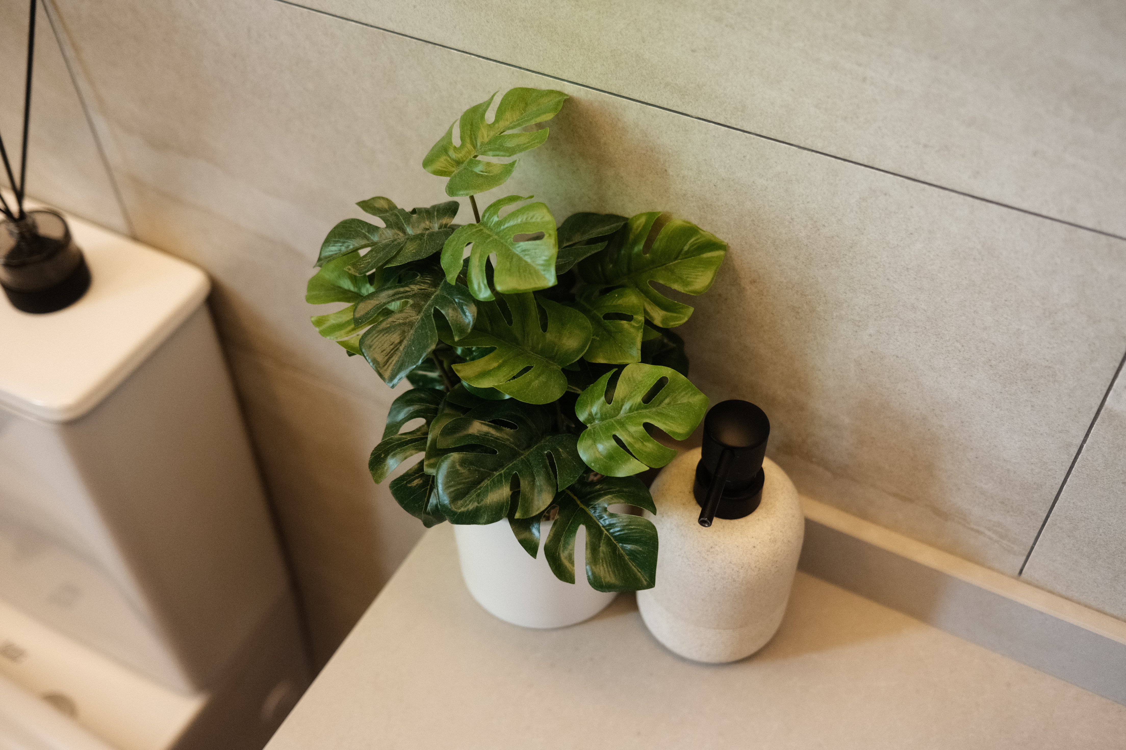 Our only plants in our Japandi Home - Green potted plant with glossy leaves, white ceramic pot, black spray bottle, beige