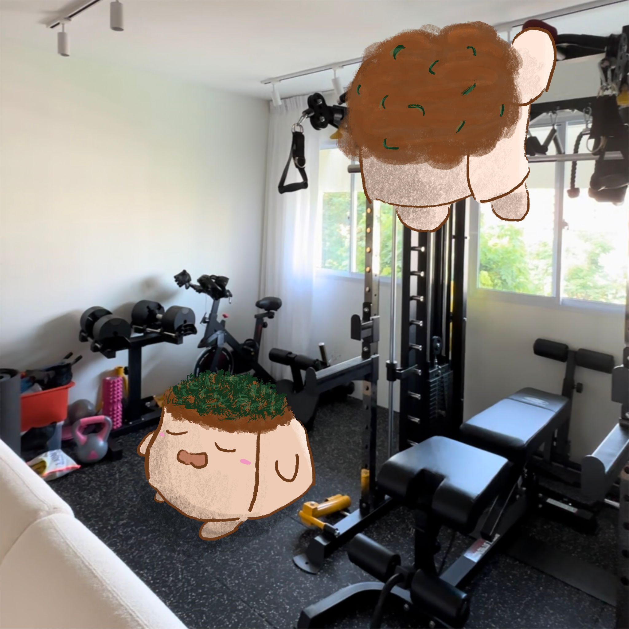 From taukwa to taupok in the GYM ROOM 🏋️ - Gym equipment, exercise machine, workout, indoor gym, fitness room, wooden floor