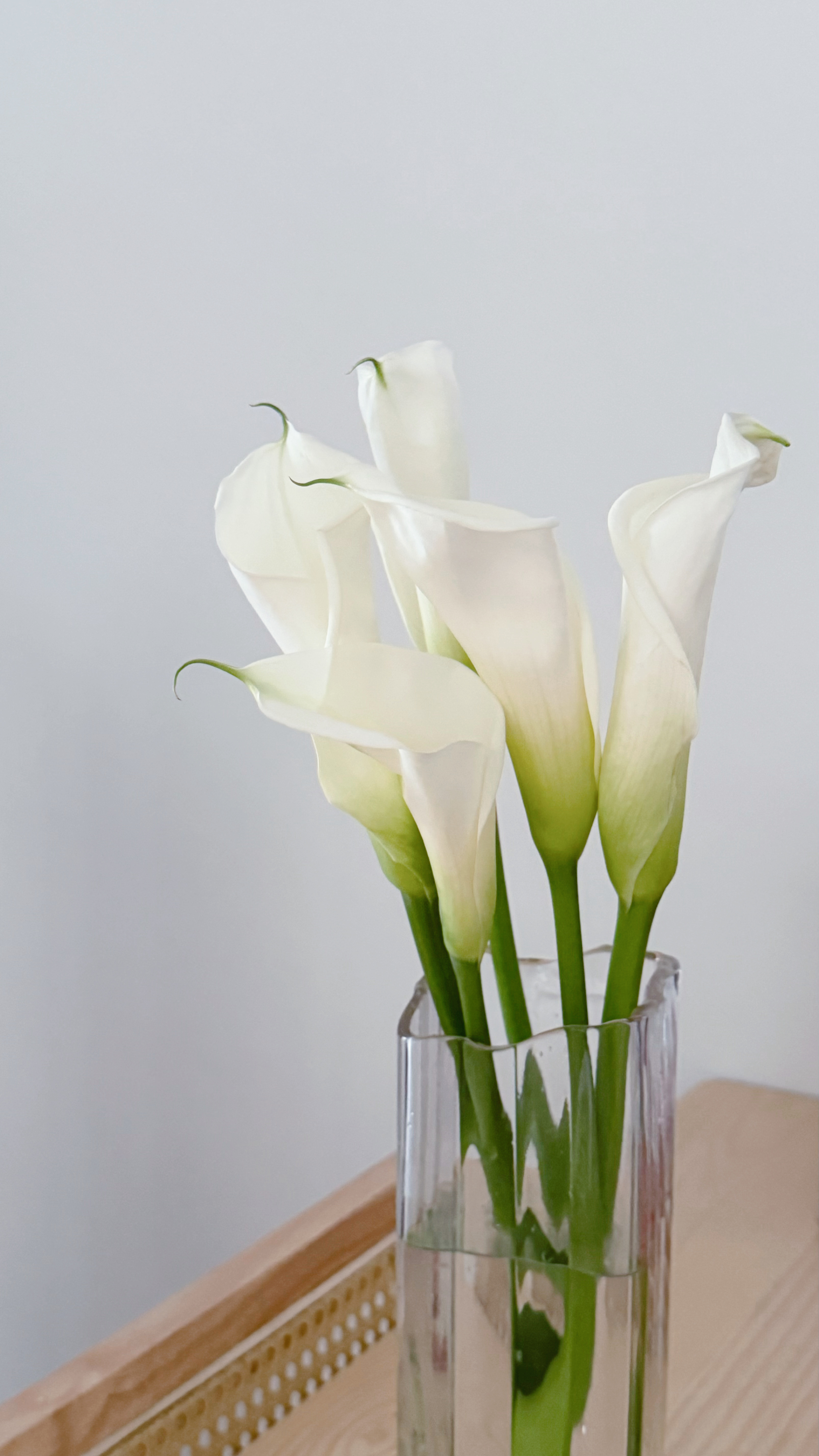Weekends are for the tofus to nua at home 🏠 - White calla lilies, elegant bouquet, clear glass vase, soft focus background