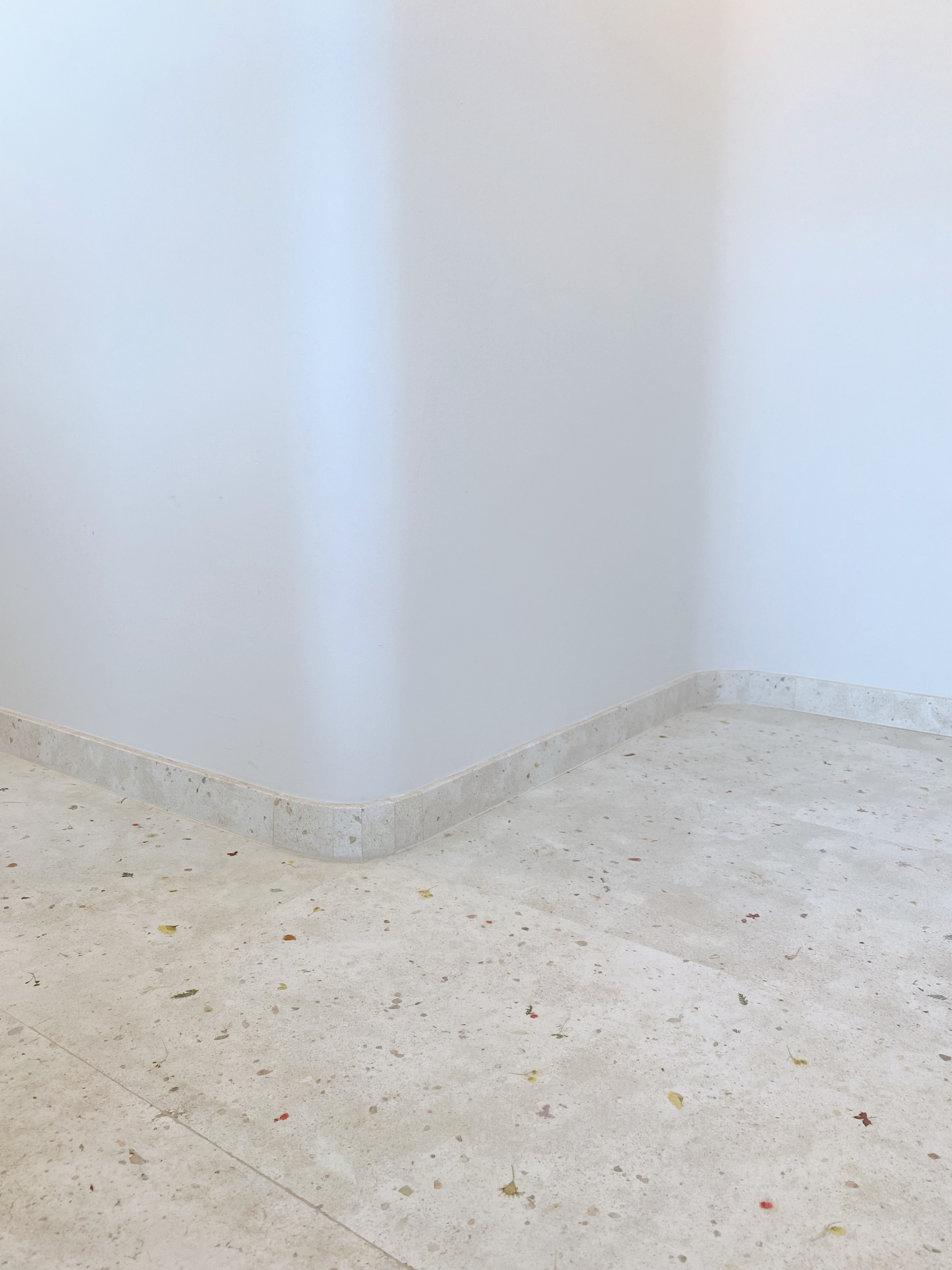 (work in place) doorways and corridors  - White walls, minimalist design, light beige floor, scattered leaves, natural light