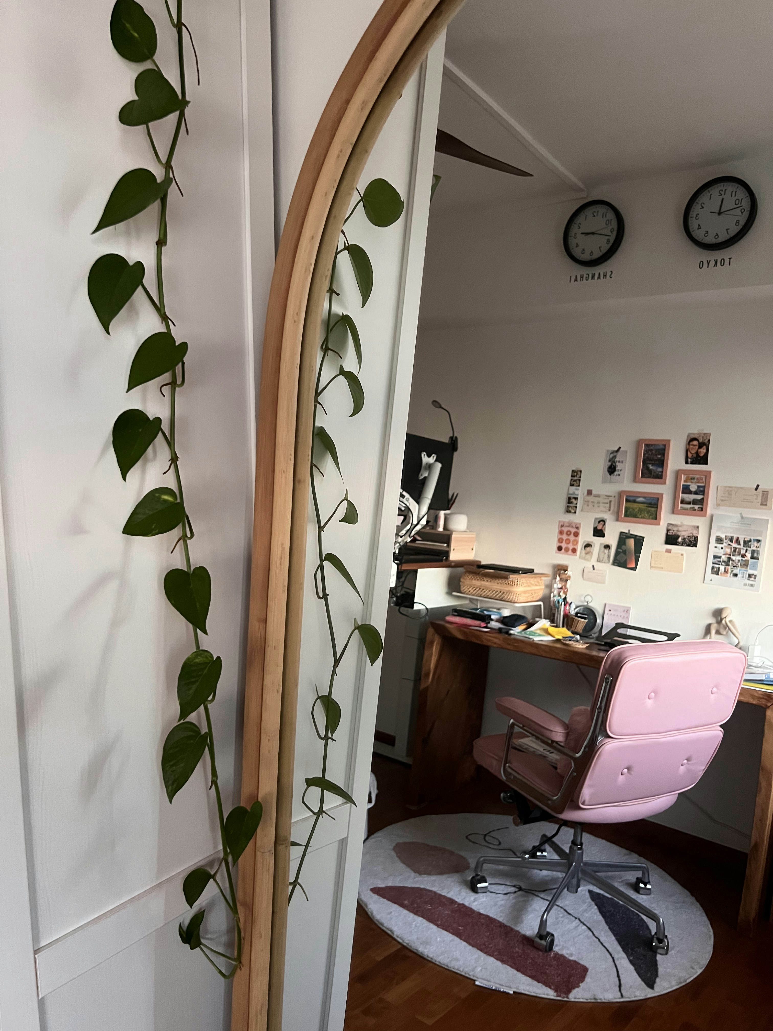Travel-inspired Farmhouse Study Room with Loose Furnishings - vibrant green ivy, cozy room, pink office chair, wooden desk