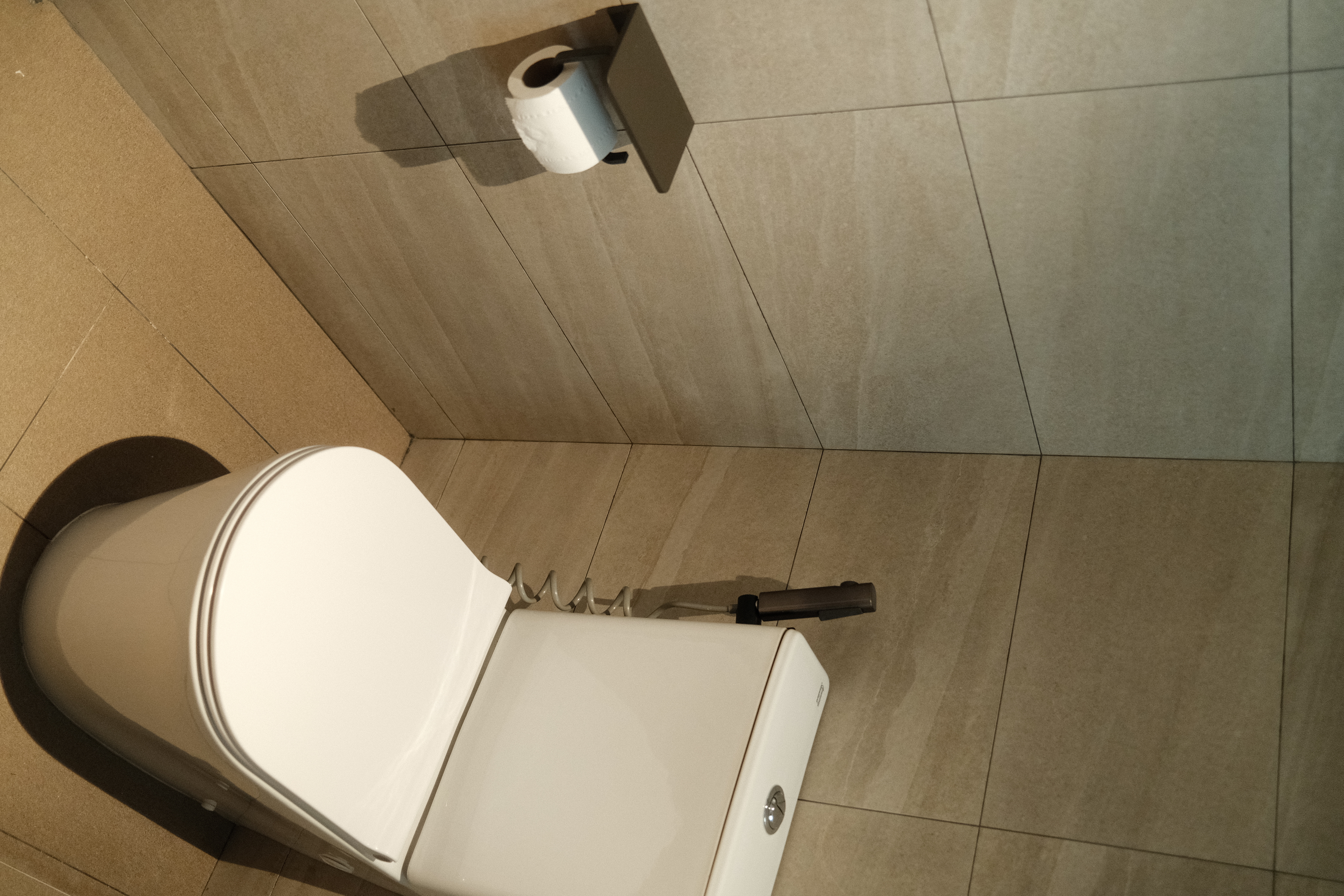 Balancing cost with aesthetics in our bathrooms  - Toilet, toilet paper holder, beige tiles, bathroom, floor, tiled wall
