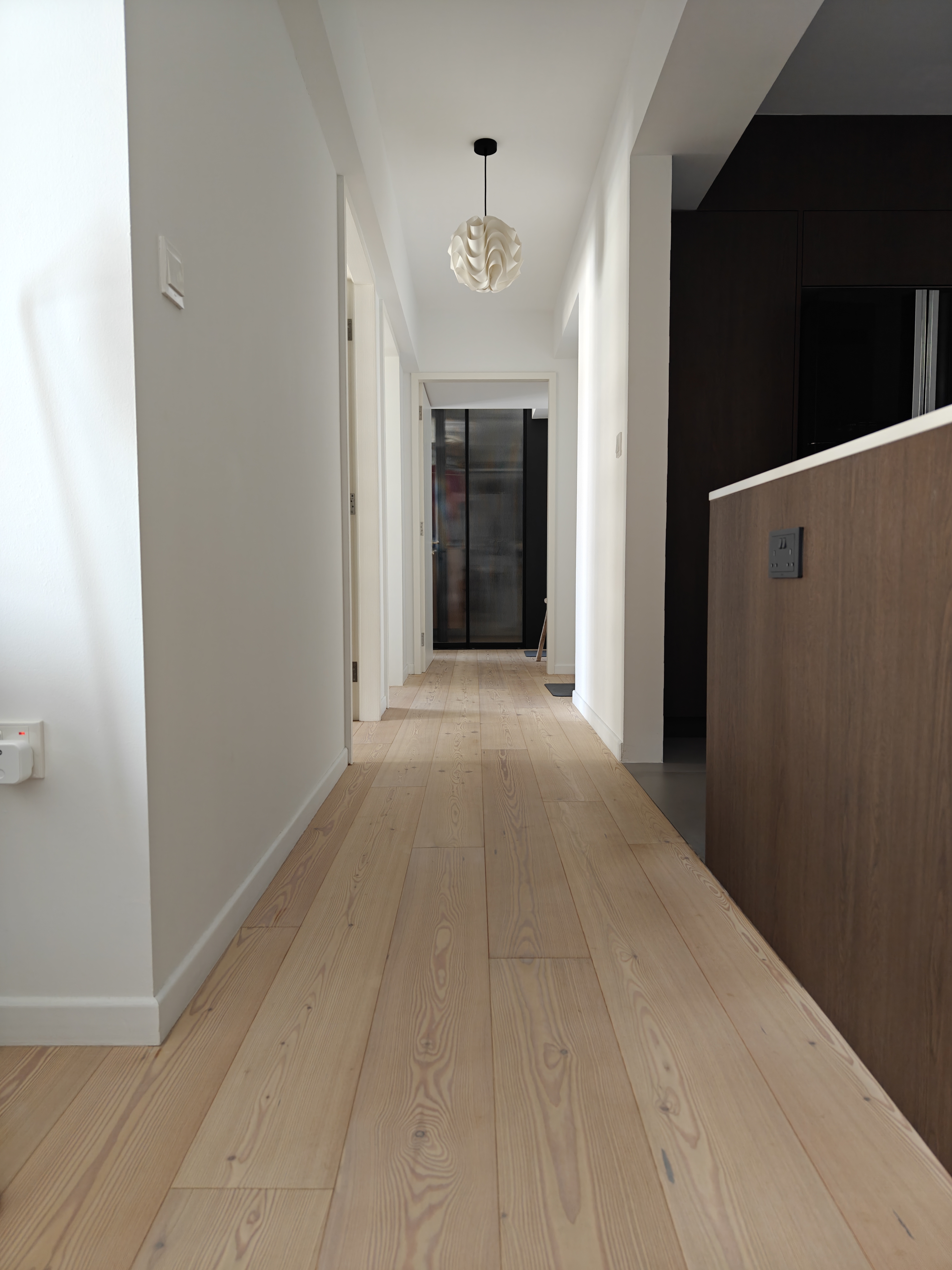 The Pride Of the_may_hem - Modern minimalist hallway, wooden floor, natural light, white walls, recessed ceiling light