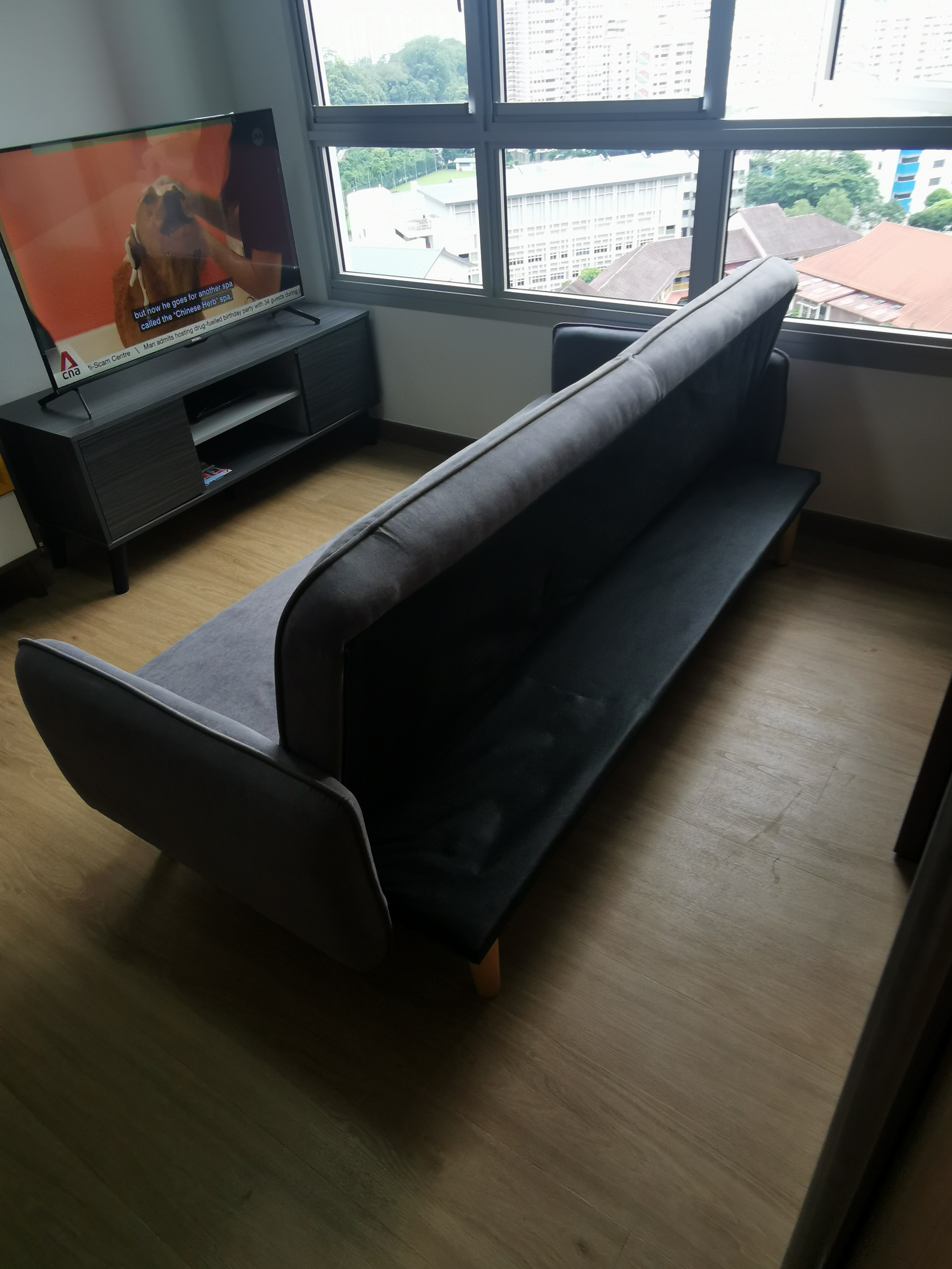 #simplicity - Modern living room, large window, comfortable sofa, flat-screen TV, indoor plants, city view, natural light