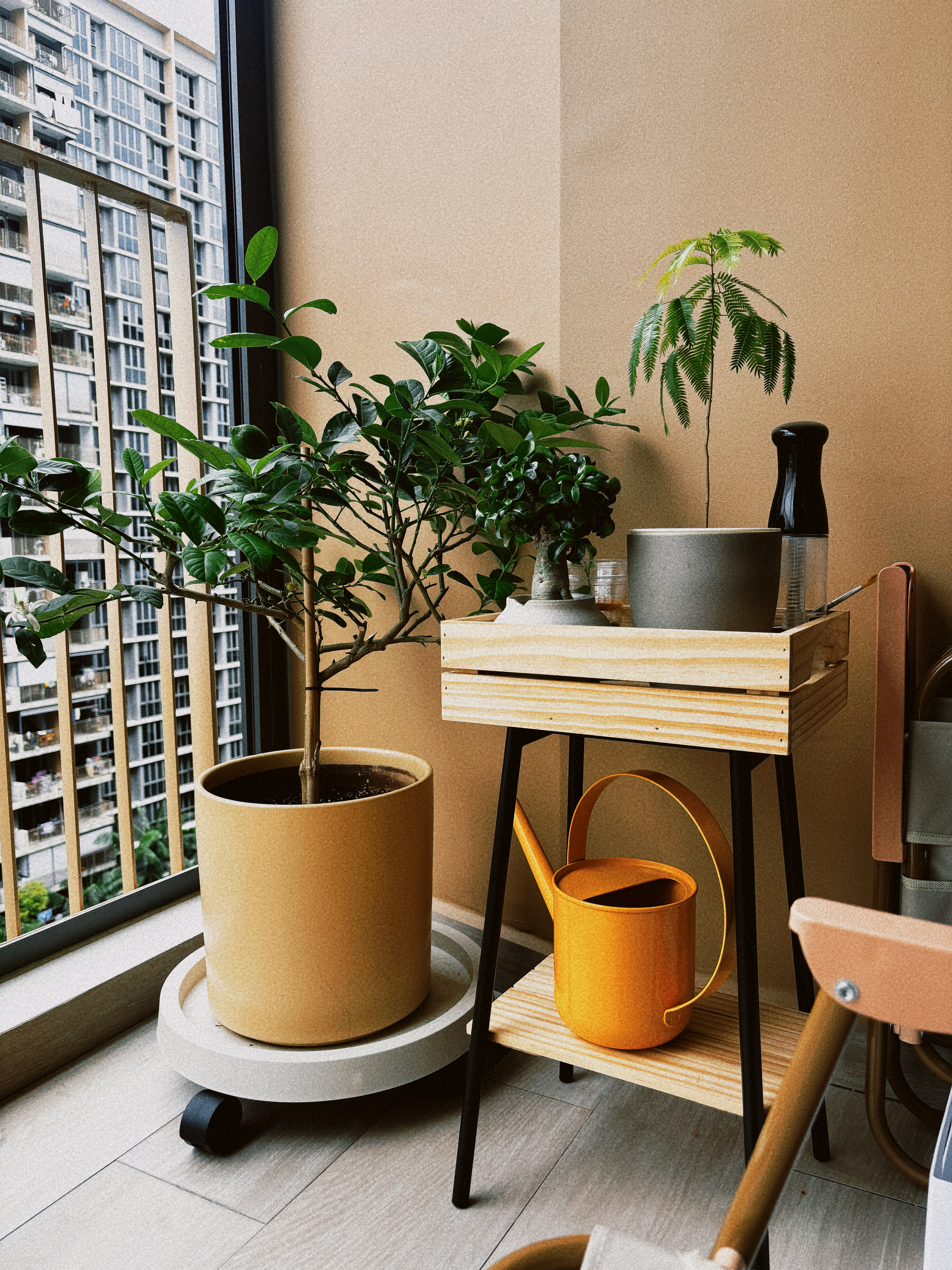 Our favourite place at home at the moment! - Modern indoor setting, large windows, potted plants, beige wall, wooden desk