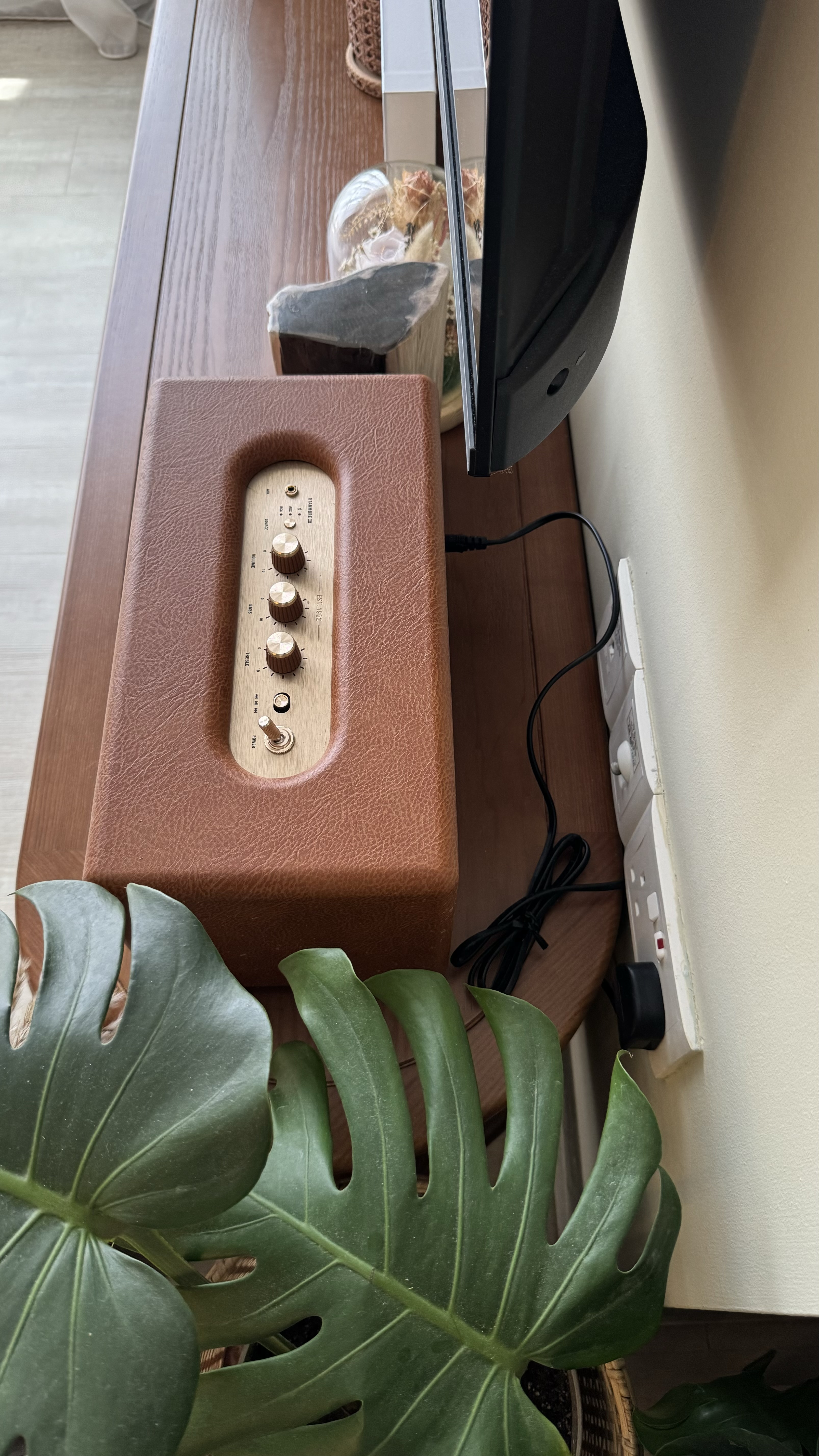 Our Secrets to Cable-Free TV Setup 📺  - brown leather guitar amp, wooden table, green plant leaves, textured leather