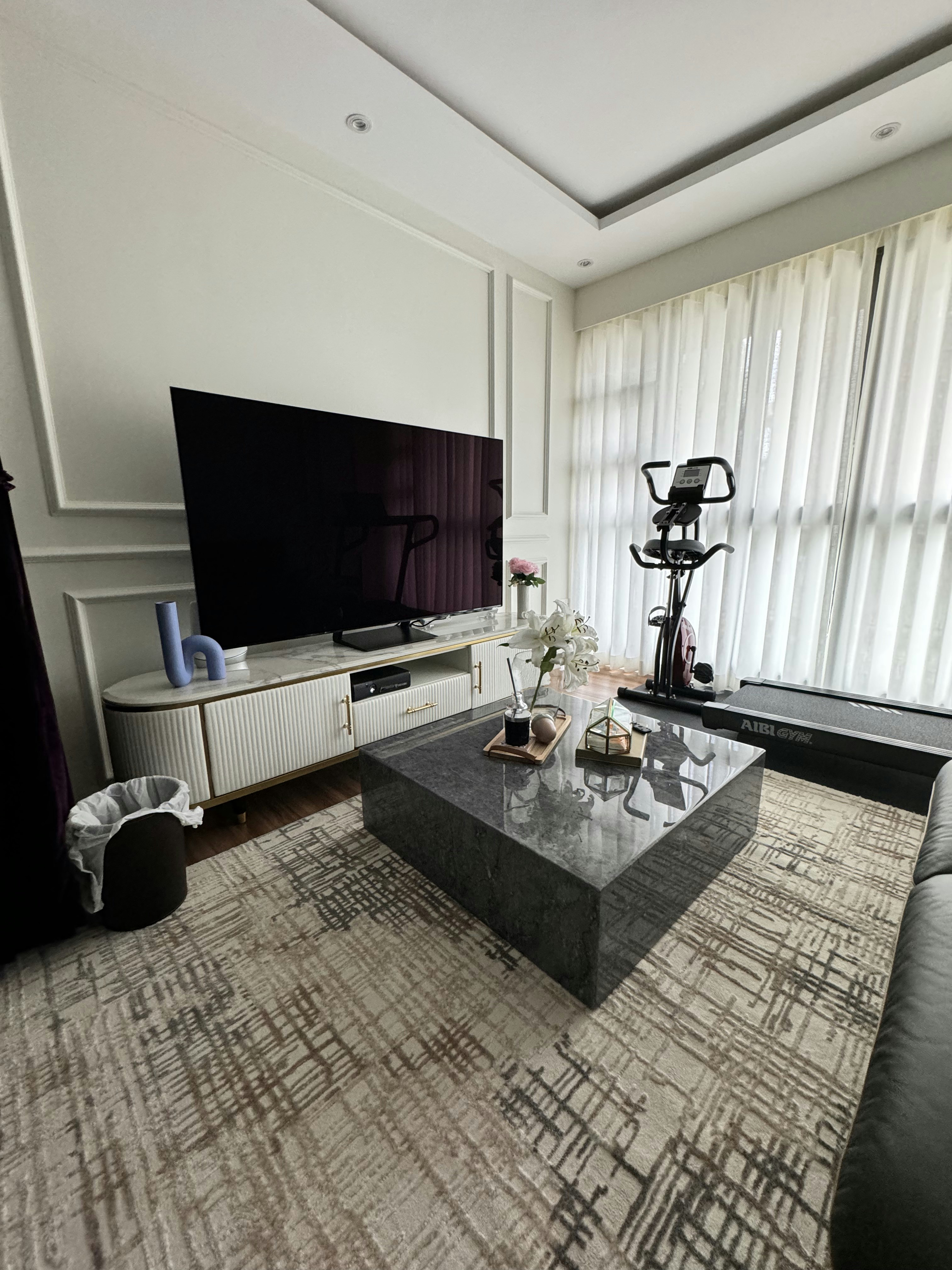 Cozy vibe with modern victorian style - Modern living room, spacious room, large TV, exercise bike, exercise machine