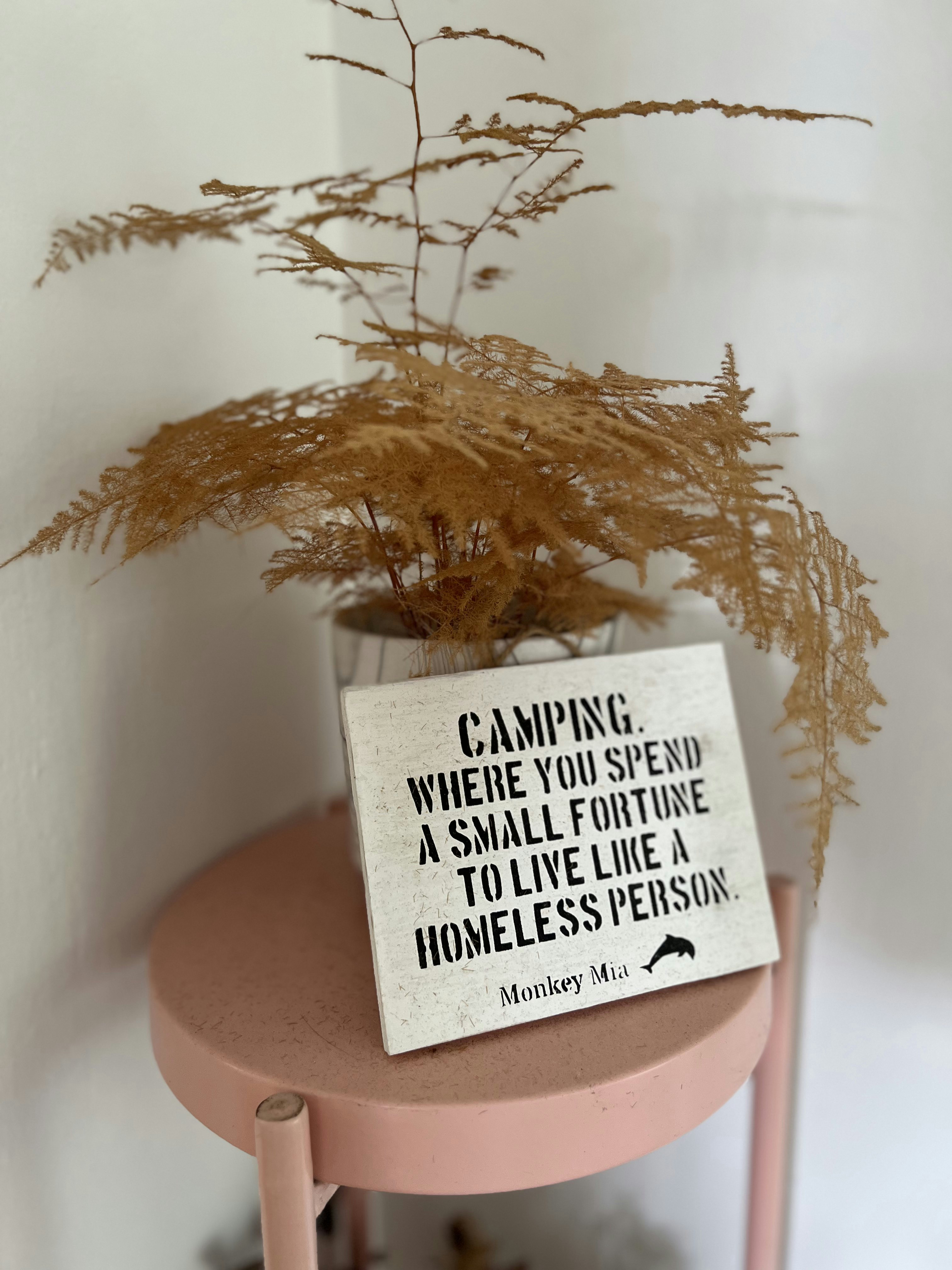Cozy corners in our Classic Farmhouse that reminds us of our travels - Camping sign, minimalist decor, potted plant, natural