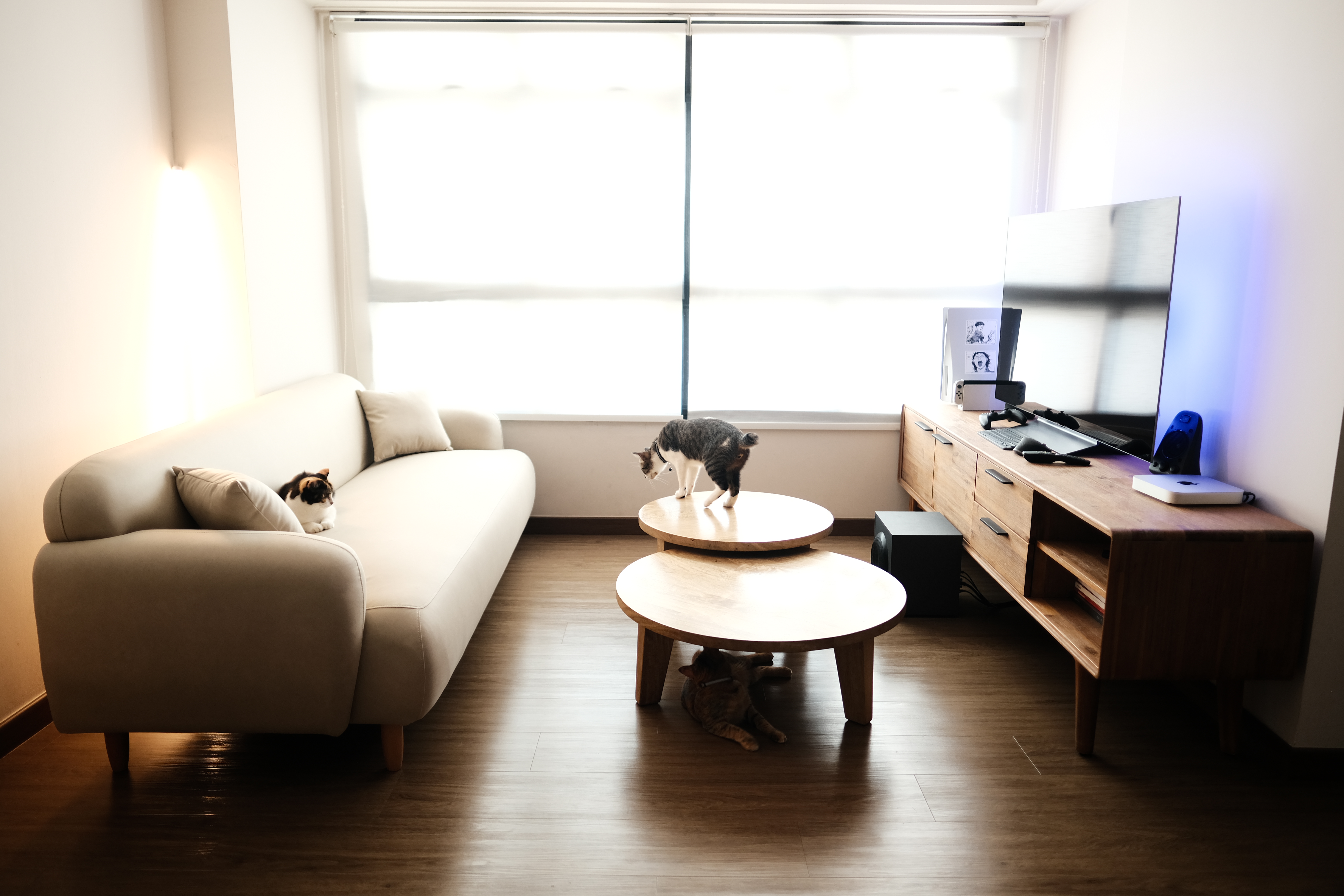 Comfort - Modern minimalist living room, cozy cat lounging on beige sofa, soft natural light streaming through window, round