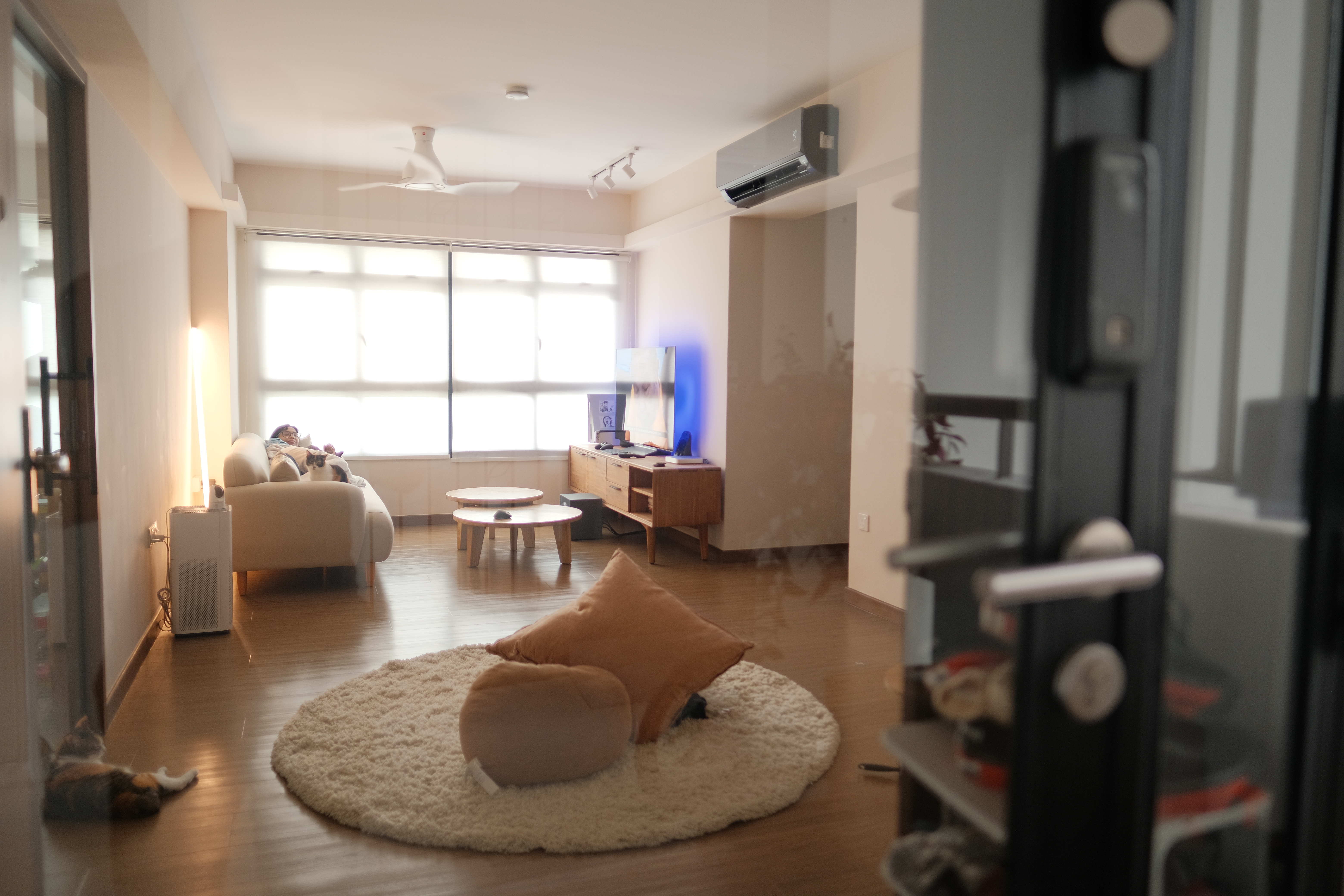 Comfort - Modern living room, cozy atmosphere, large window, natural light, beige sofa, cat lounging, wooden floor, round