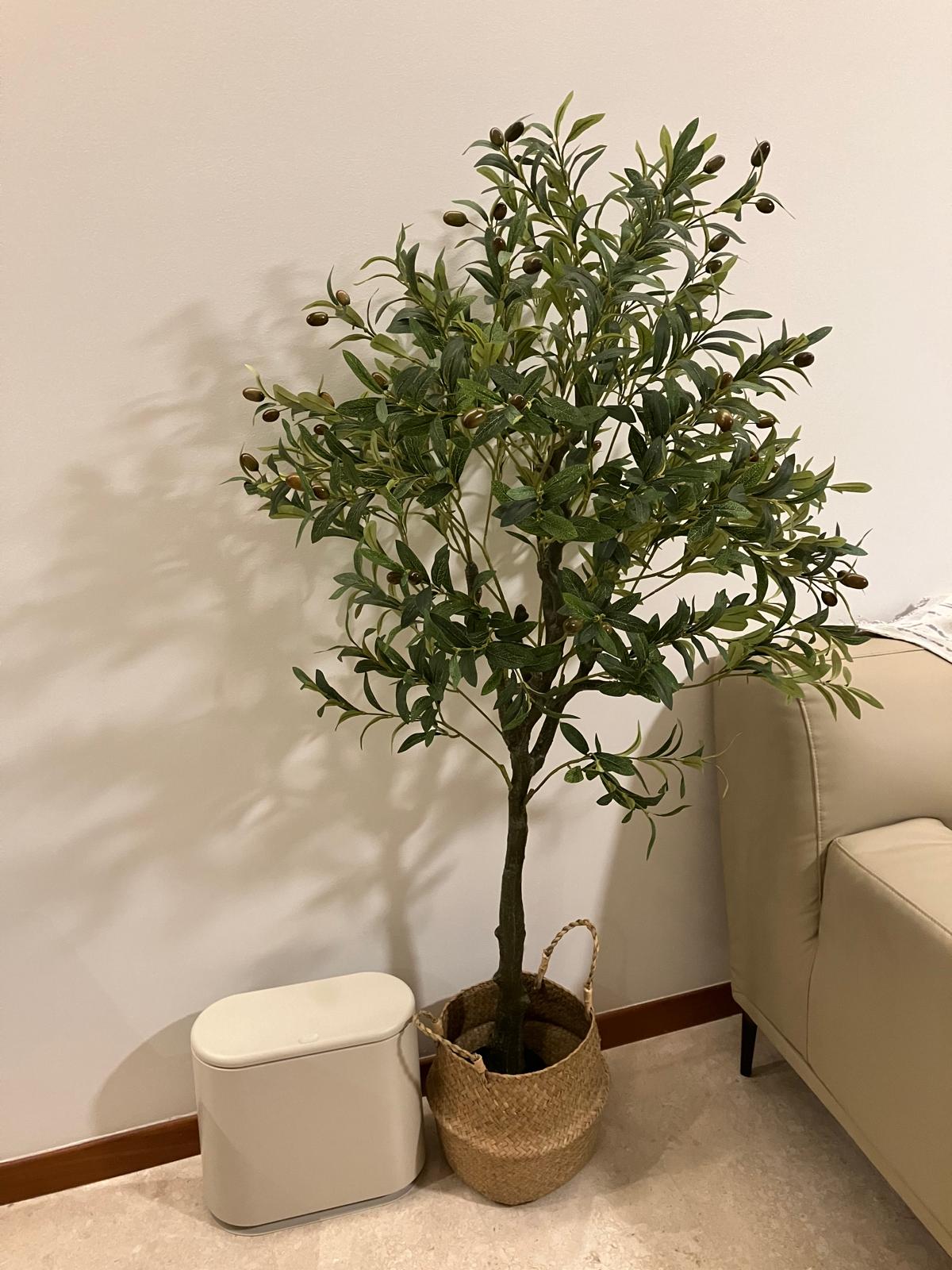 Keeping it timeless and clutter-free in this 4BR condo! - green plant with olives, indoor plant, indoor garden, indoor tree