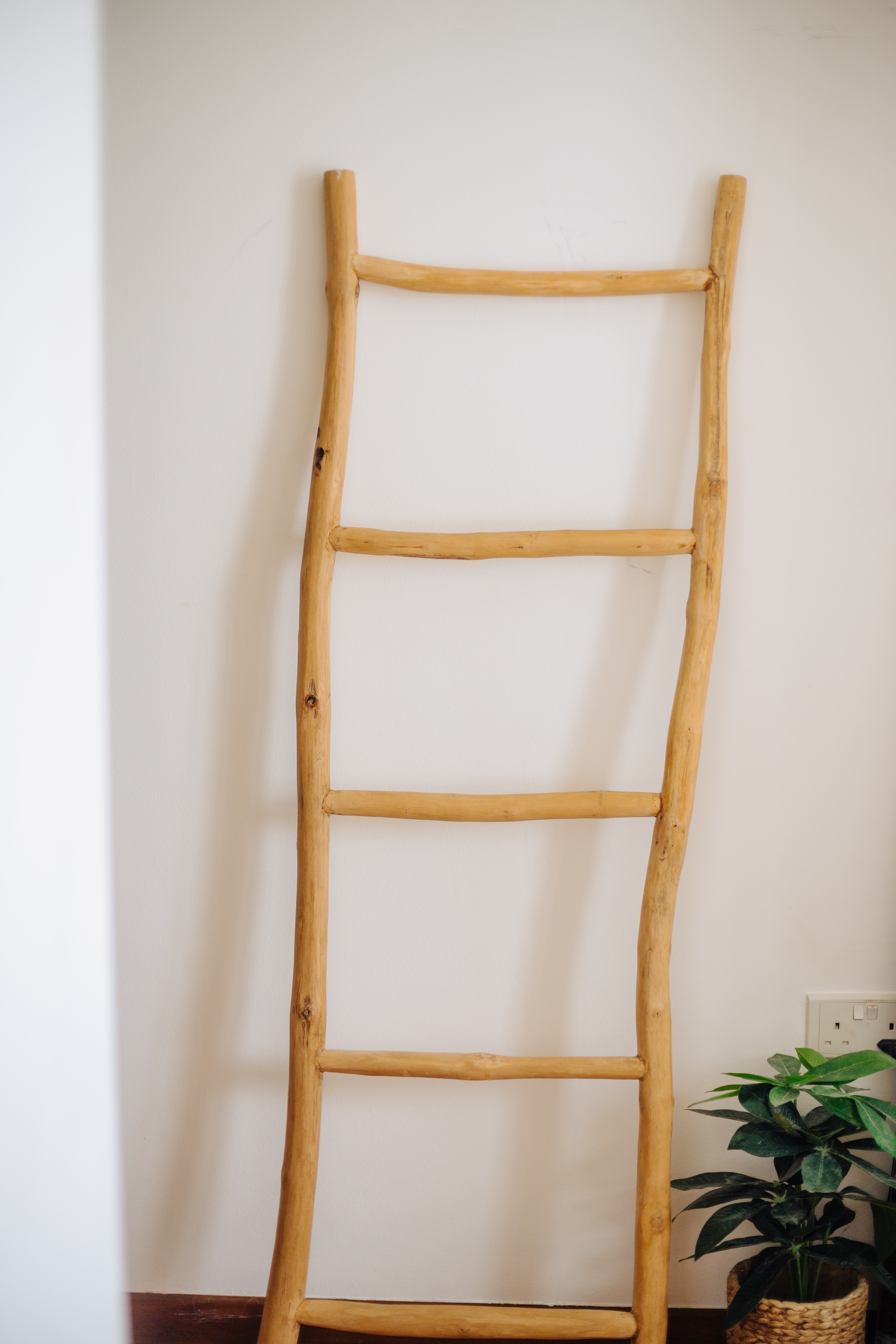 Photographer/Videographer couple’s cosy styled DBSS home in Yishun - Ladder, wooden ladder, vertical ladder, rustic ladder