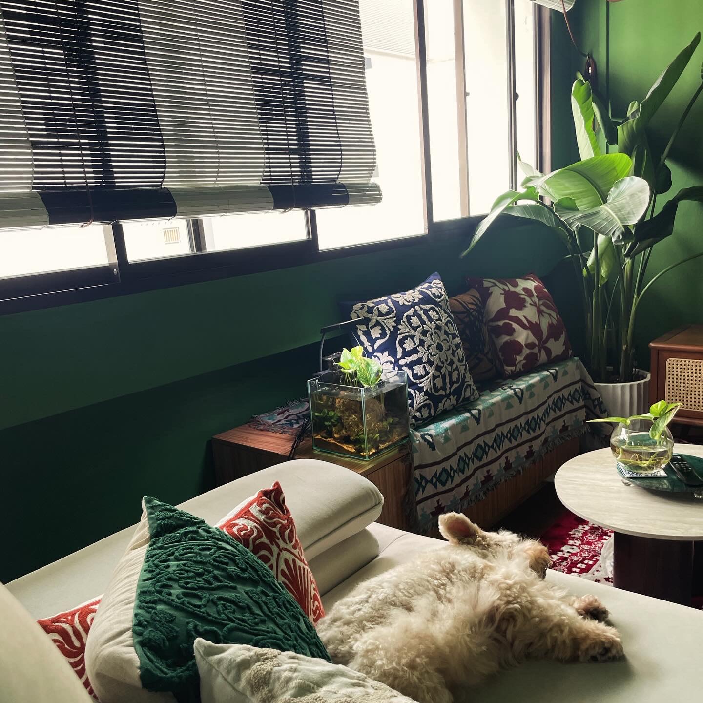 A unique blend of mid-century charm & cottage coziness - Green cozy living room, modern decor, comfortable couch, patterned