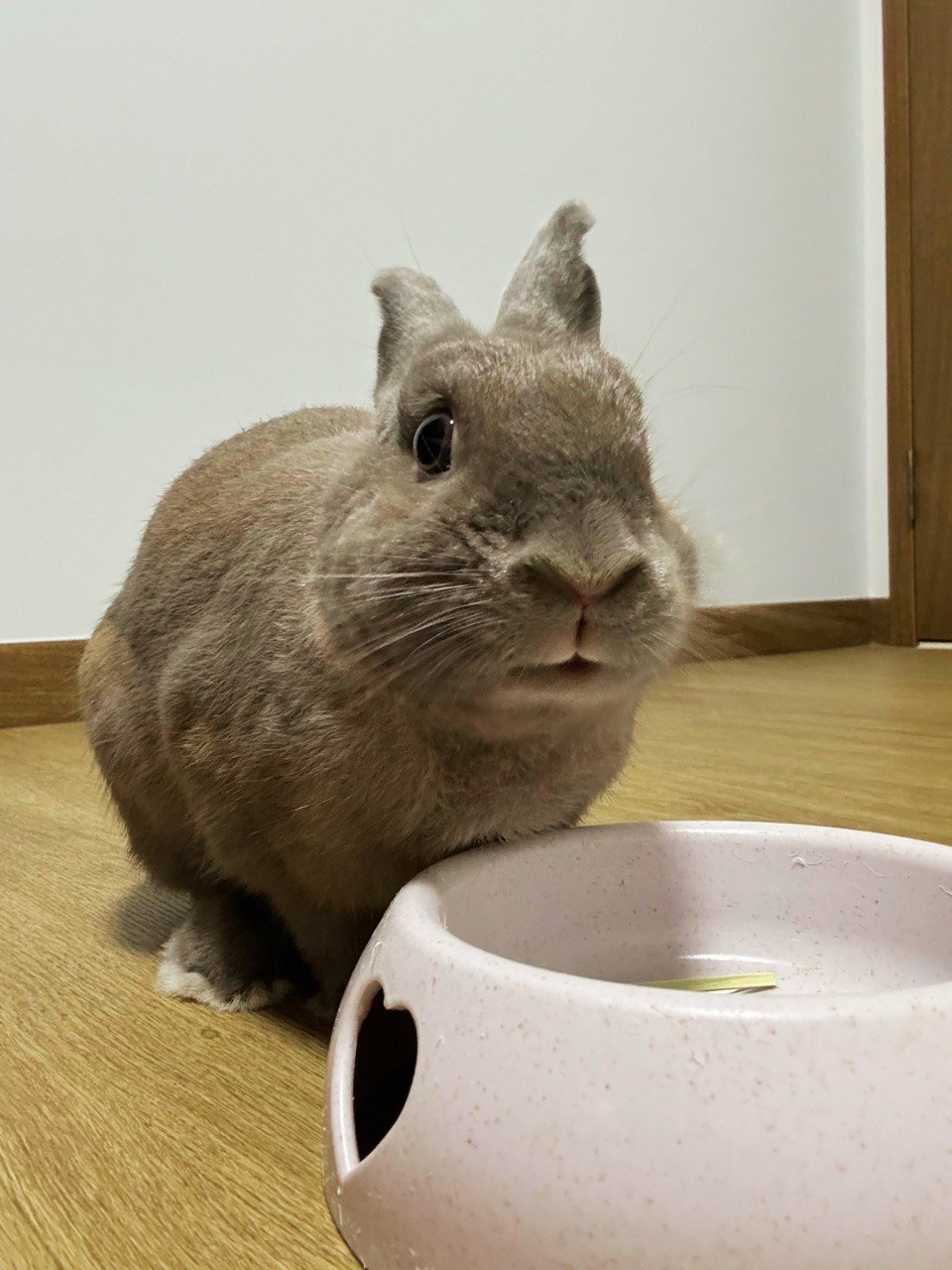 Japandi-with-Neutral-Tones,-Home-of-Our-Dear-Bunny-and-Us