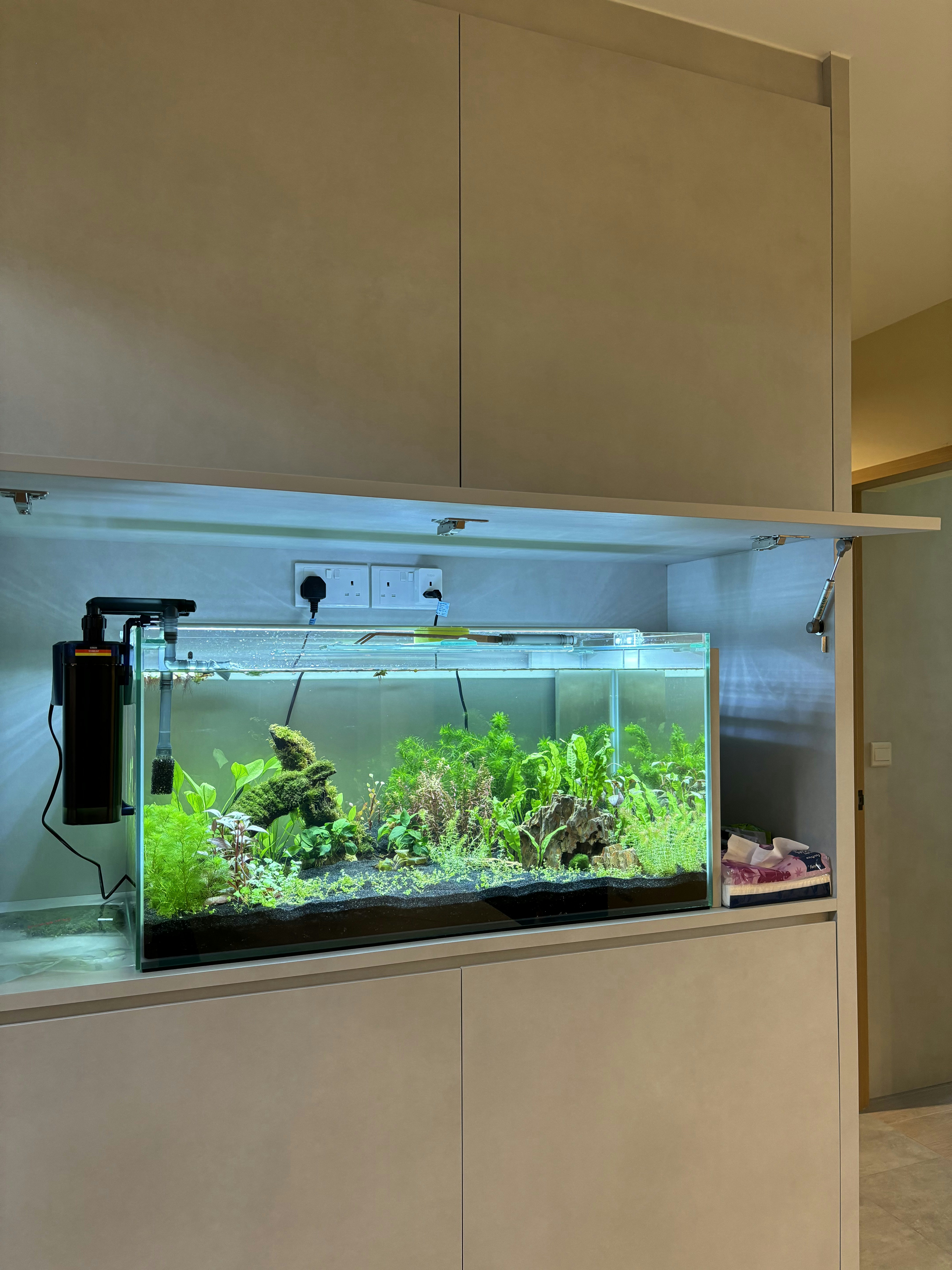 Inside a practical Modern Mediterranean 4RM BTO - Modern aquarium setup with green plants, black filtration system, beige