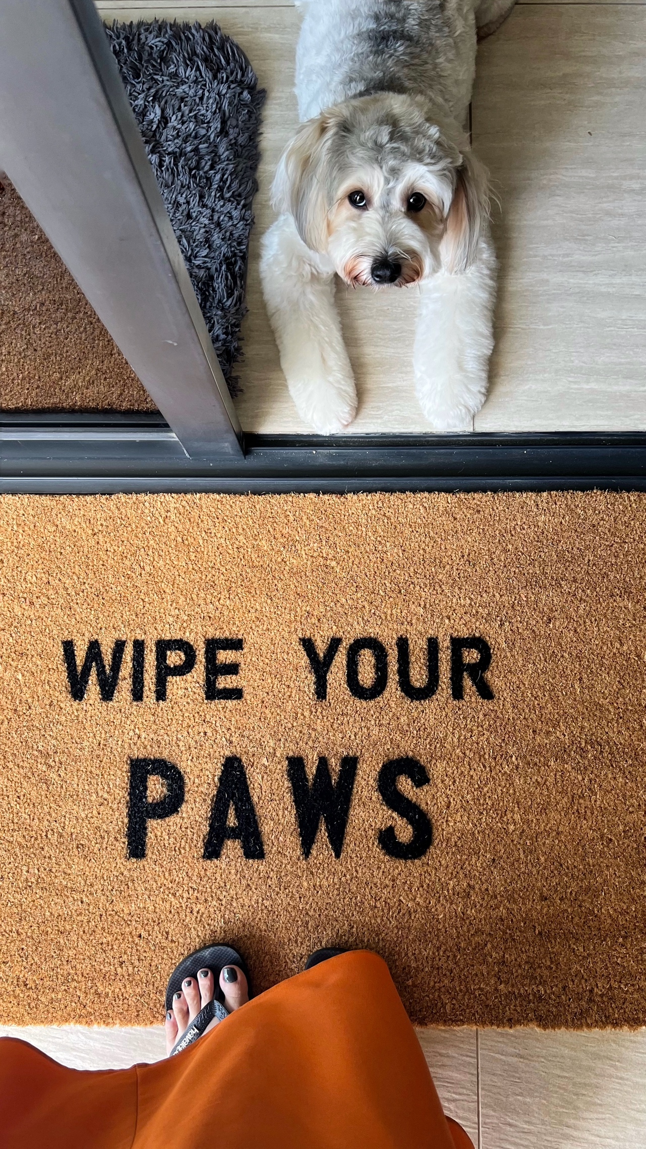 Our little cosmopolitan treehouse! - Dog lying on a brown pet door mat, Person wearing black flip-flops standing near the