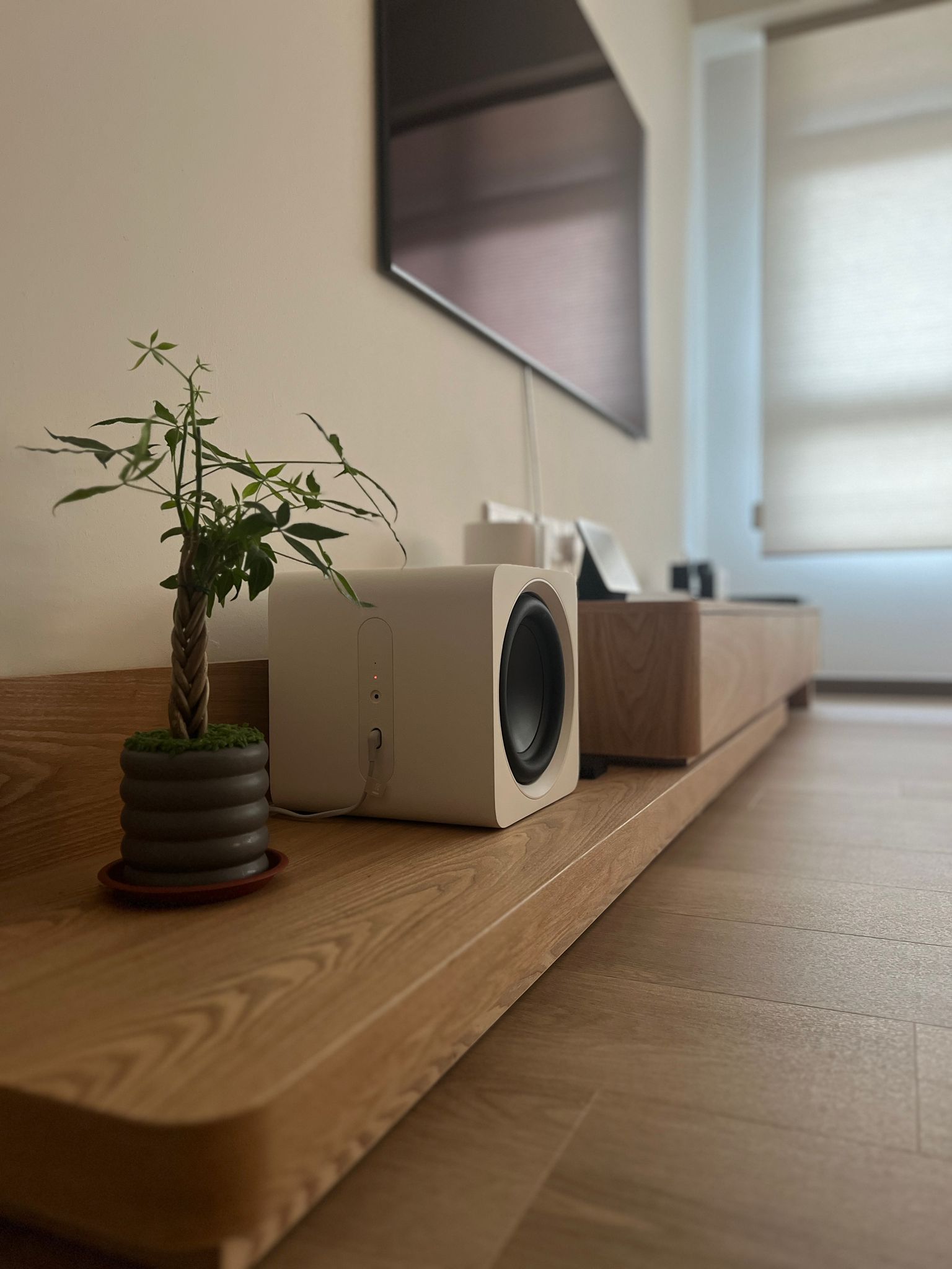 Inside our 5room Japanese inspired home - smart speaker, modern living room, minimalist decor, indoor plant, wooden shelf