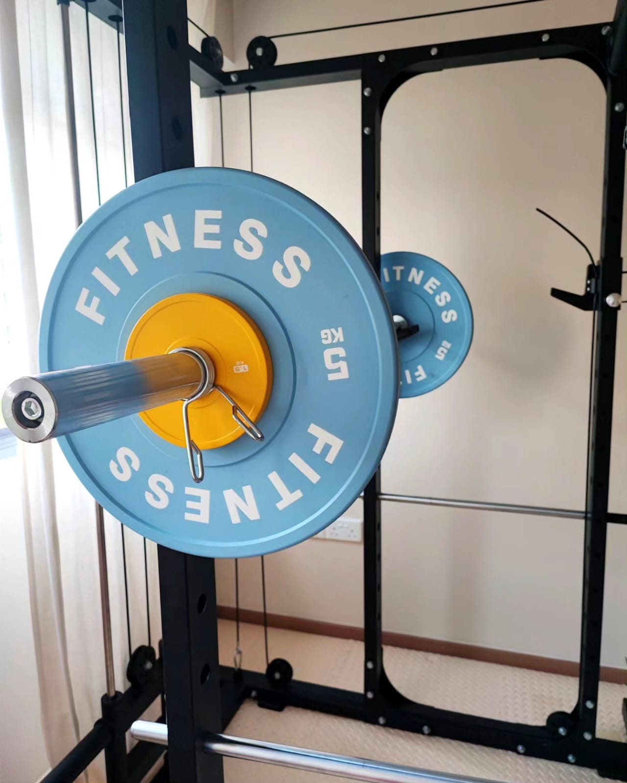 Welcome to our 15K modest & minimal home with 2 cats - barbell, weightlifting, fitness rack, yellow weight plate, blue weight