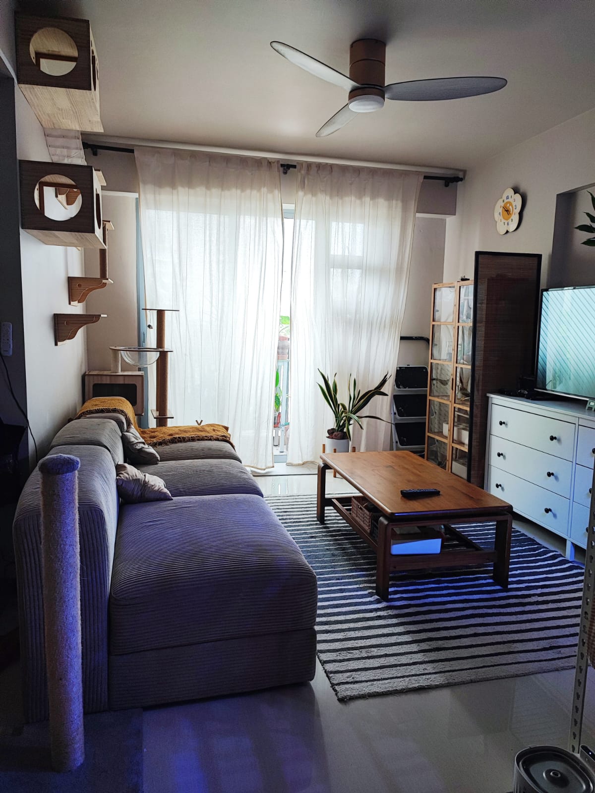 Welcome to our 15K modest & minimal home with 2 cats - modern living room, cozy seating, gray sectional sofa, wooden shelves