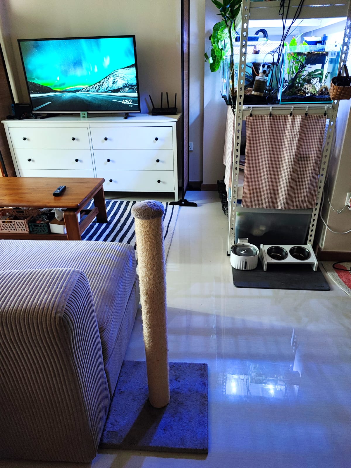 Welcome to our 15K modest & minimal home with 2 cats - Living room, TV, entertainment center, white dresser, black knobs