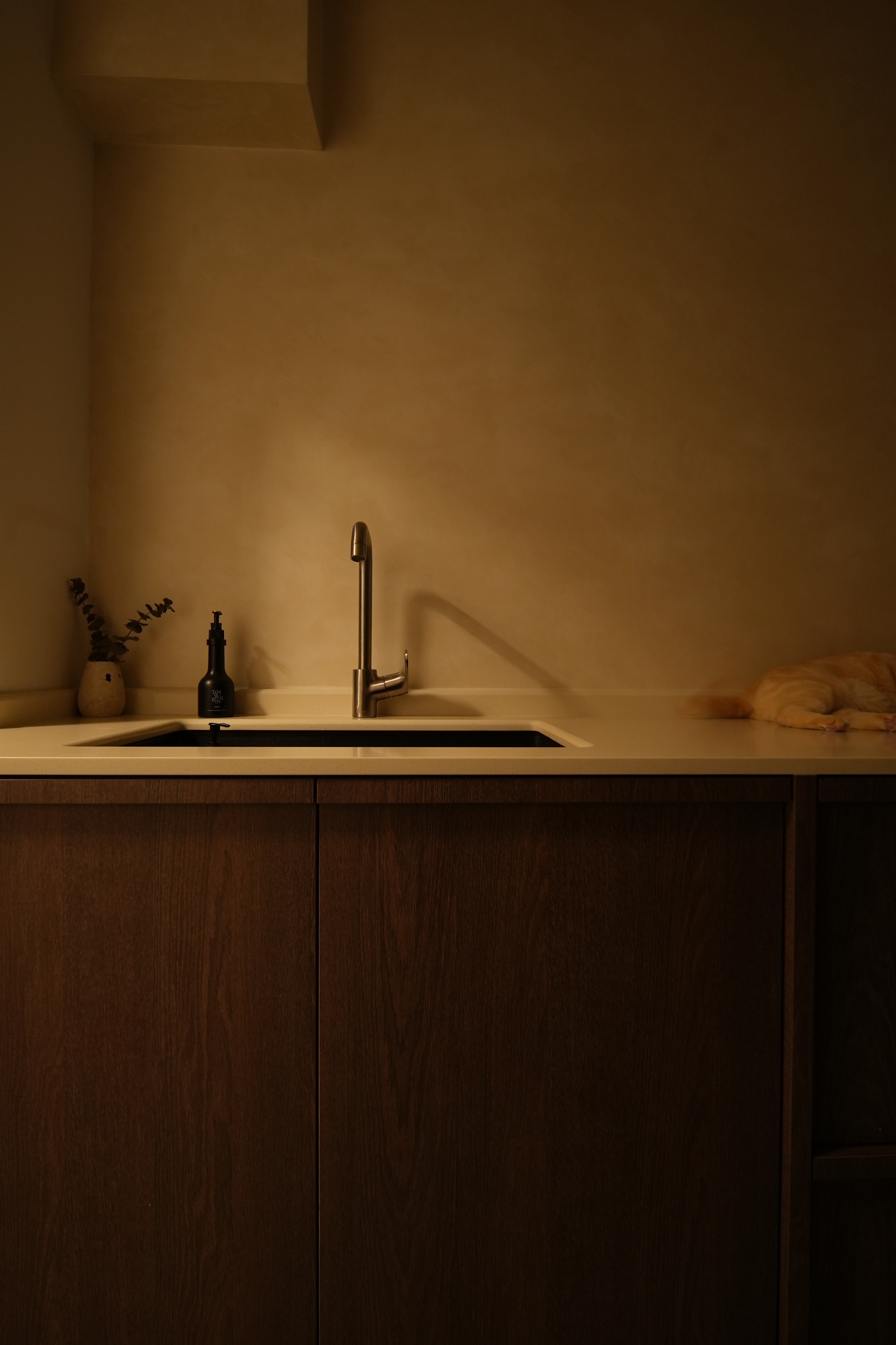 Cosy, Moody, Minimalist HDB in the Heart of the City - Wooden kitchen countertop, beige wall, modern faucet, dark wooden