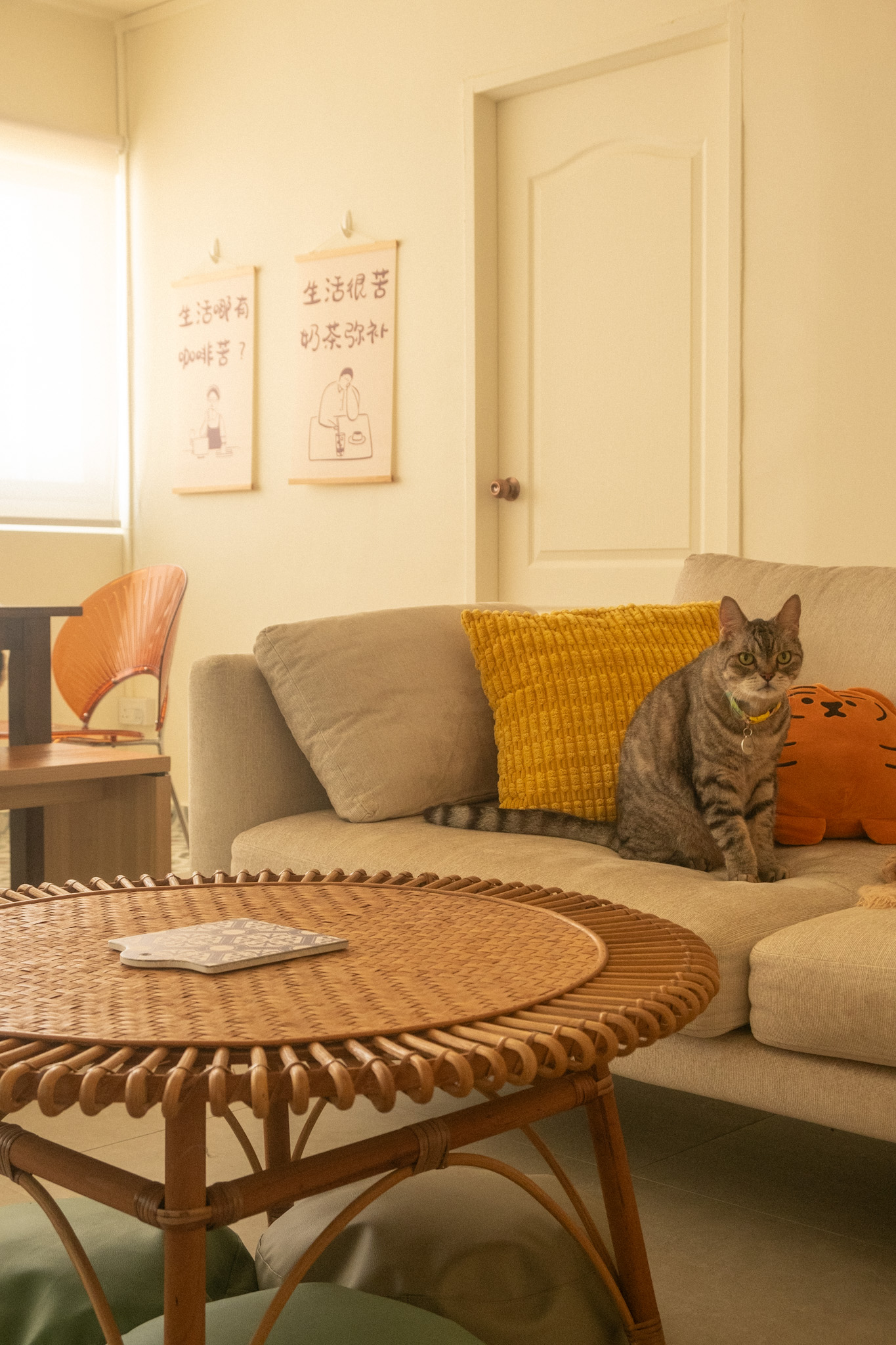 Maximising-space-in-our-cosy-&-quirky-home-with-cats