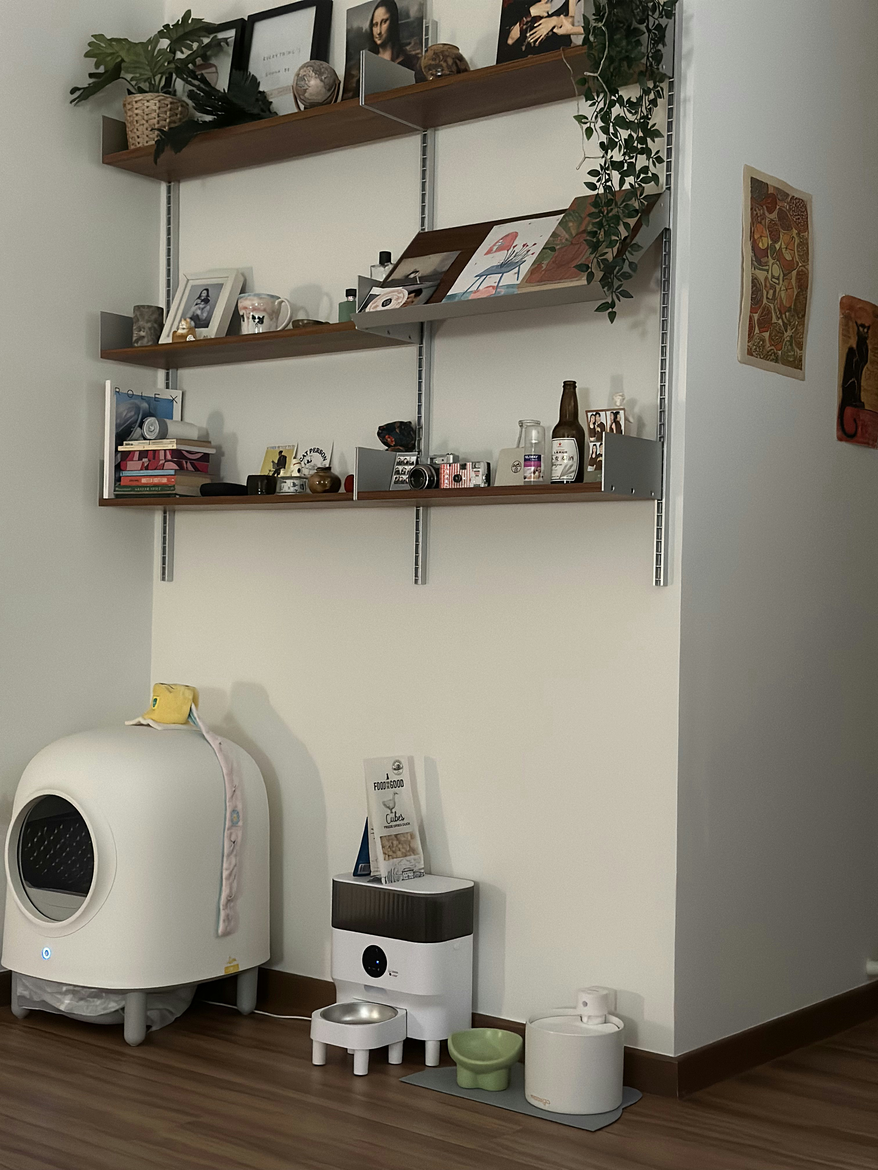 Bauhaus cathaus - $38k 4BR Reno for an open, flexible space       - White robotic vacuum cleaner, small pet bowl, green pet