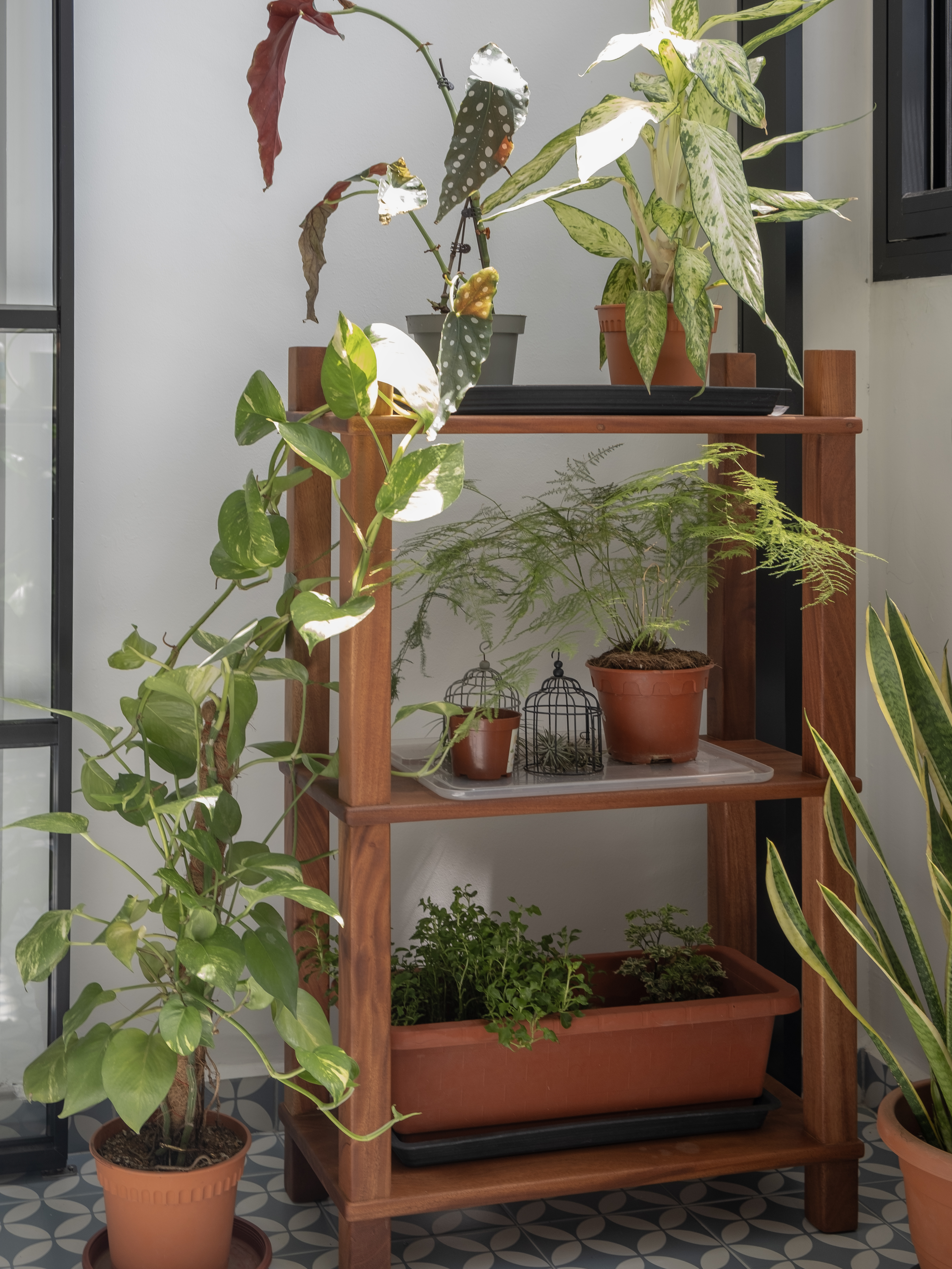 Inside a 300k Reno Modern Gallery-Inspired Maisonette - Green potted plants, wooden shelf, indoor setting, multi-tiered