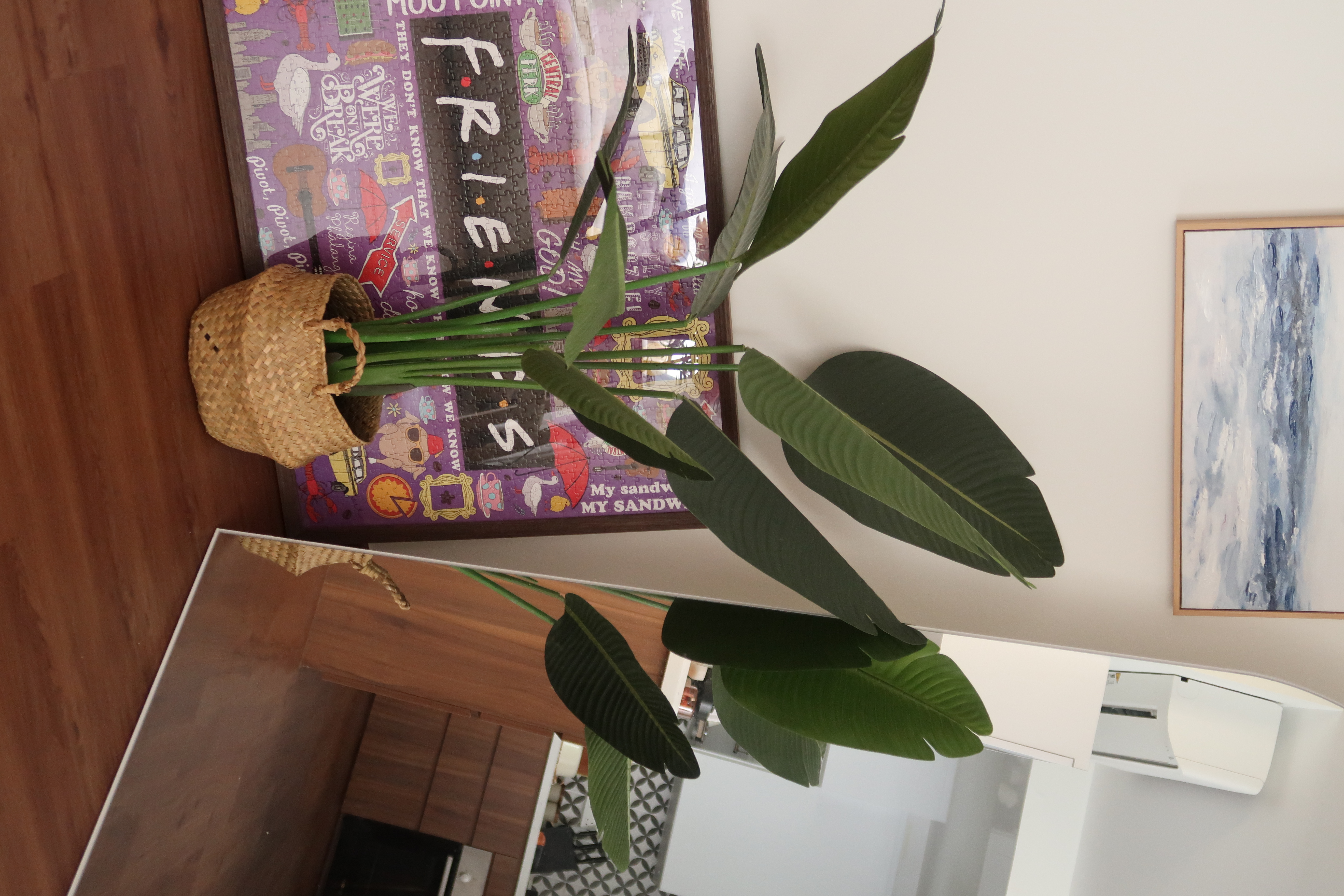 How we elevated our living space in 3 simple ways! - Jewelry, mirror, plant, woven basket, green leaves, indoor, wooden