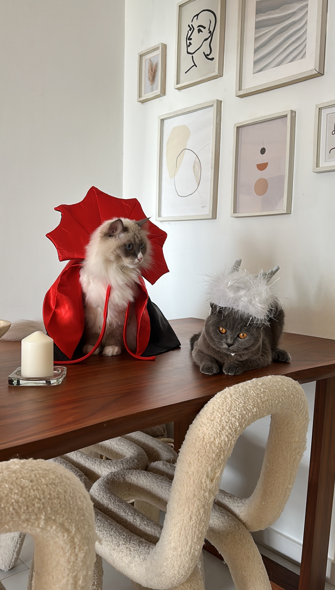 Our Dining Room: Making Magic With Styling✨ - Cat dressed as a devil, fluffy white cat, gray cat with white feathered hat