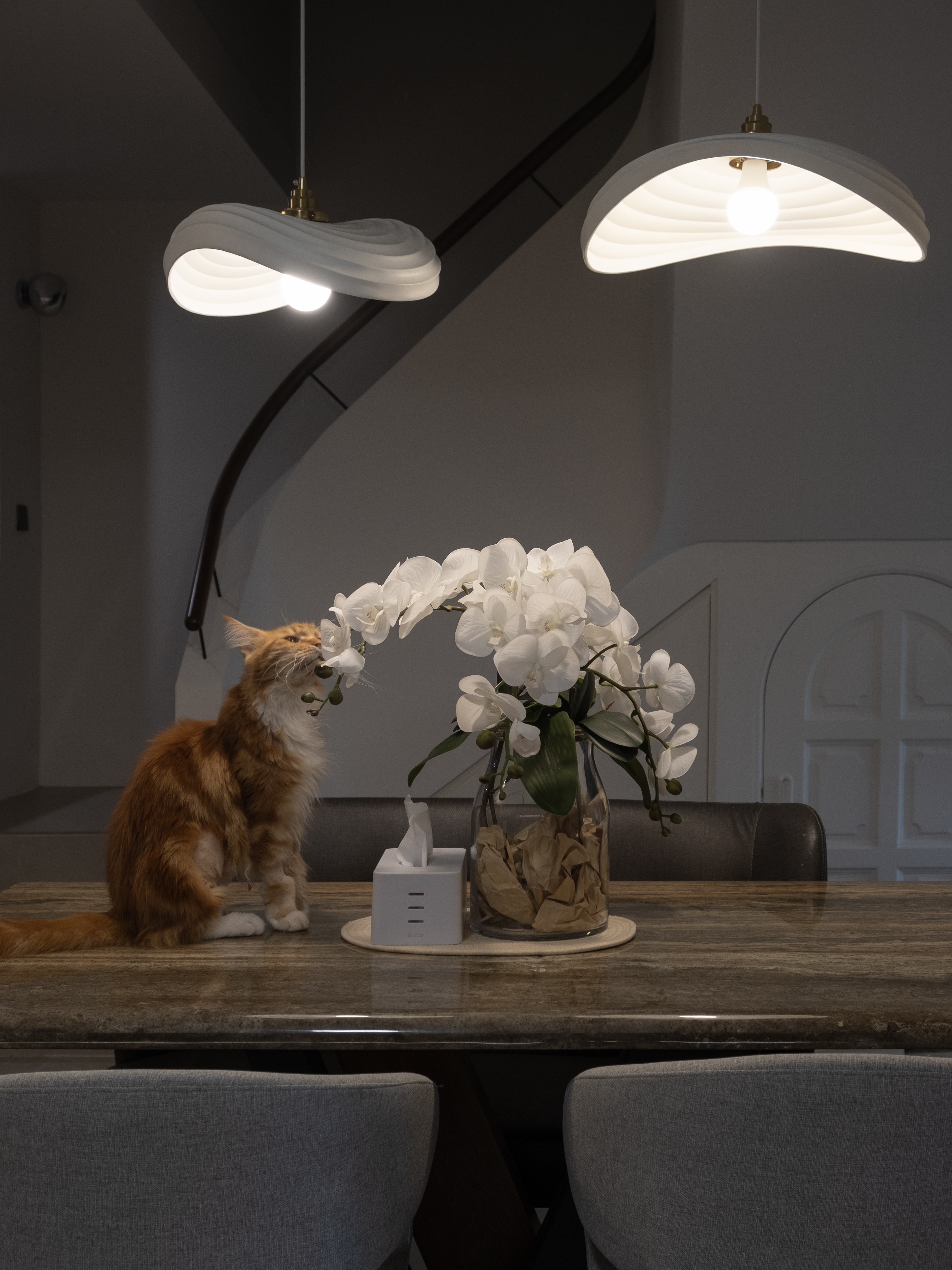 Turning Kitchen to Cosy Dining Area - modern dining room, elegant table, cozy atmosphere, orange cat, white orchids, hanging