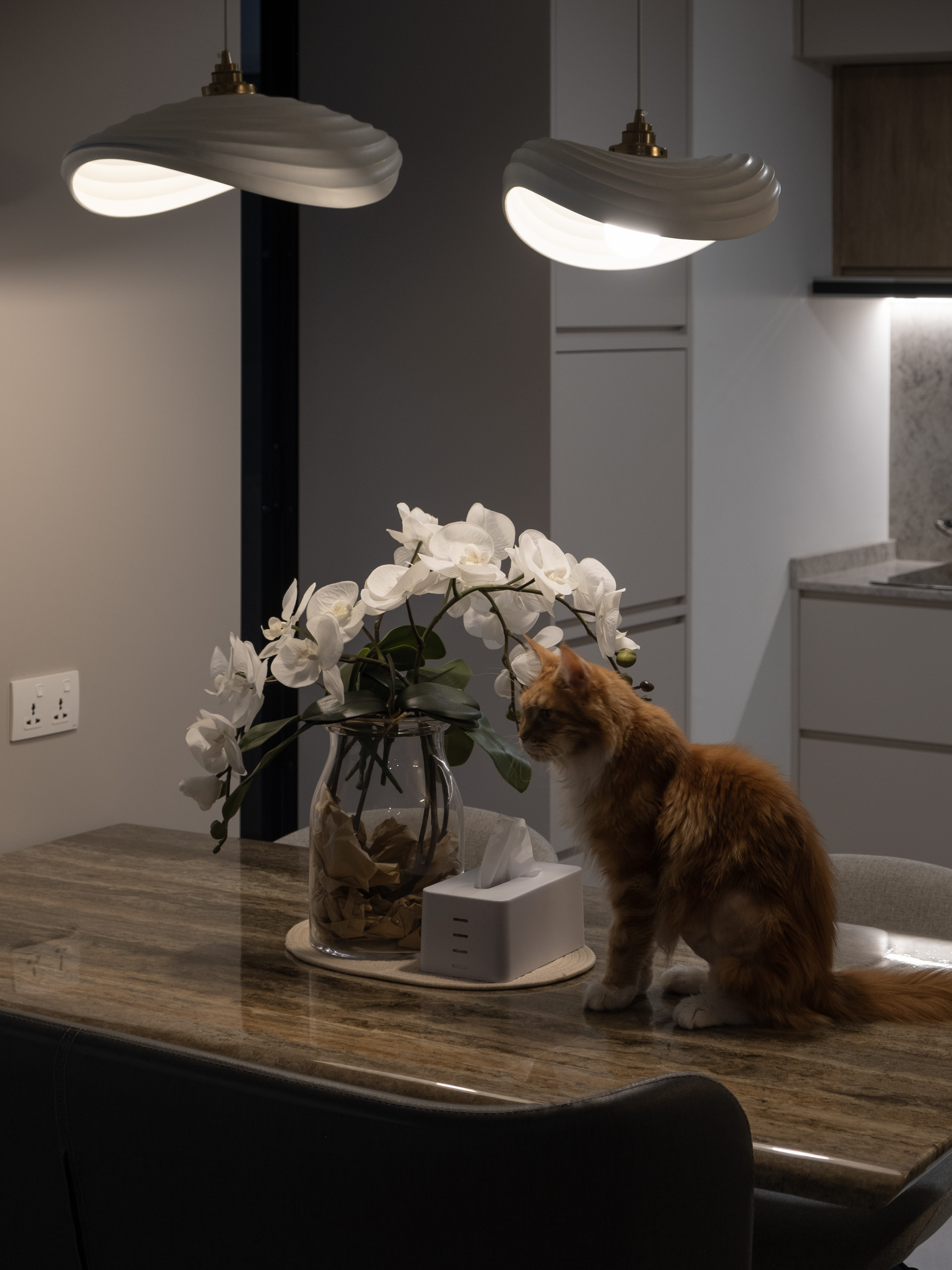 Turning Kitchen to Cosy Dining Area - modern kitchen, elegant pendant lights, white orchids, cozy atmosphere, orange cat