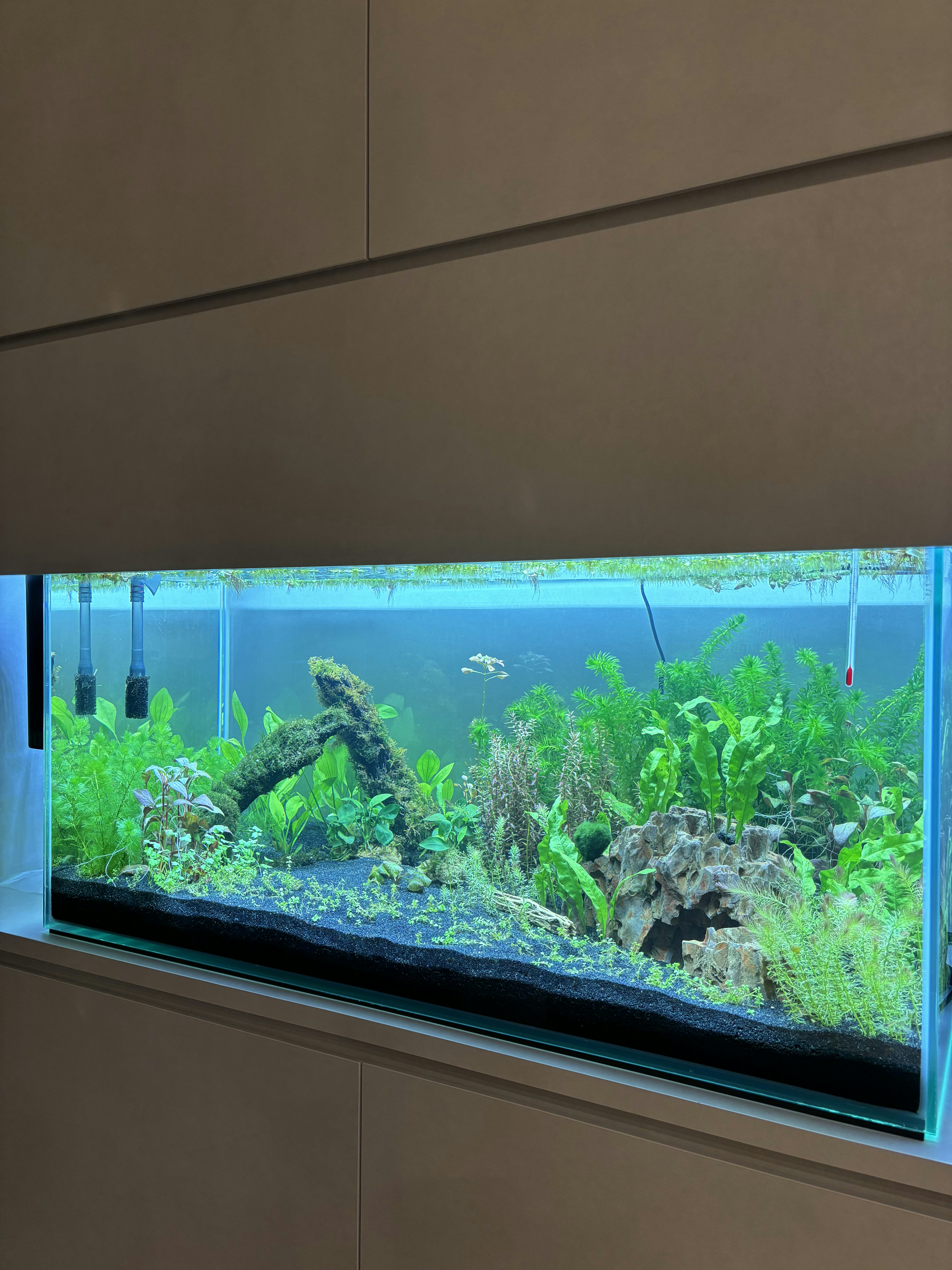 Our-Dining-Space:-Where-everything-happens-(even-a-fish-tank!)