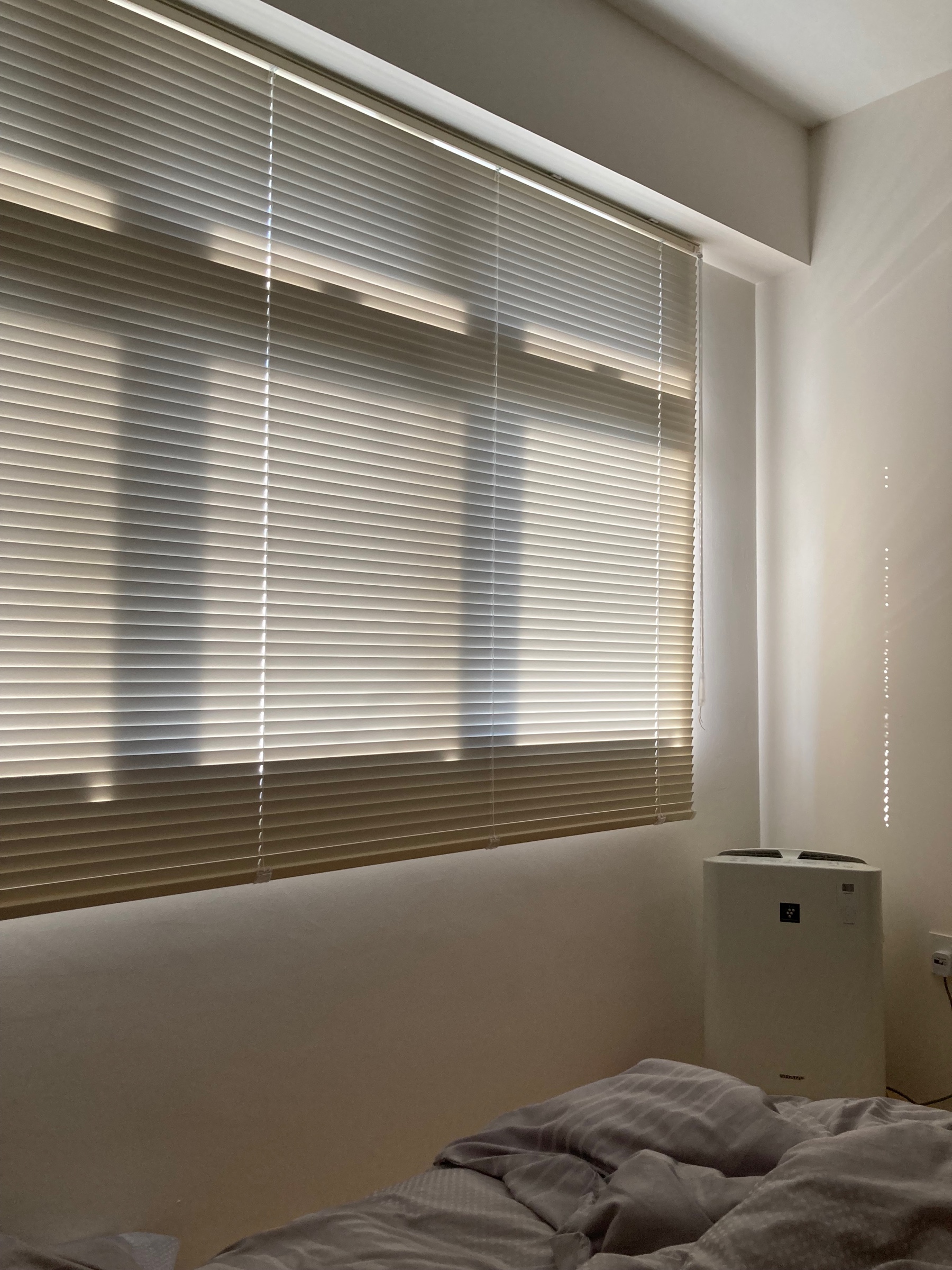 Splurged on curtains and blinds - no regrets! - Sunlight filtering through blinds, room illuminated by natural light, window