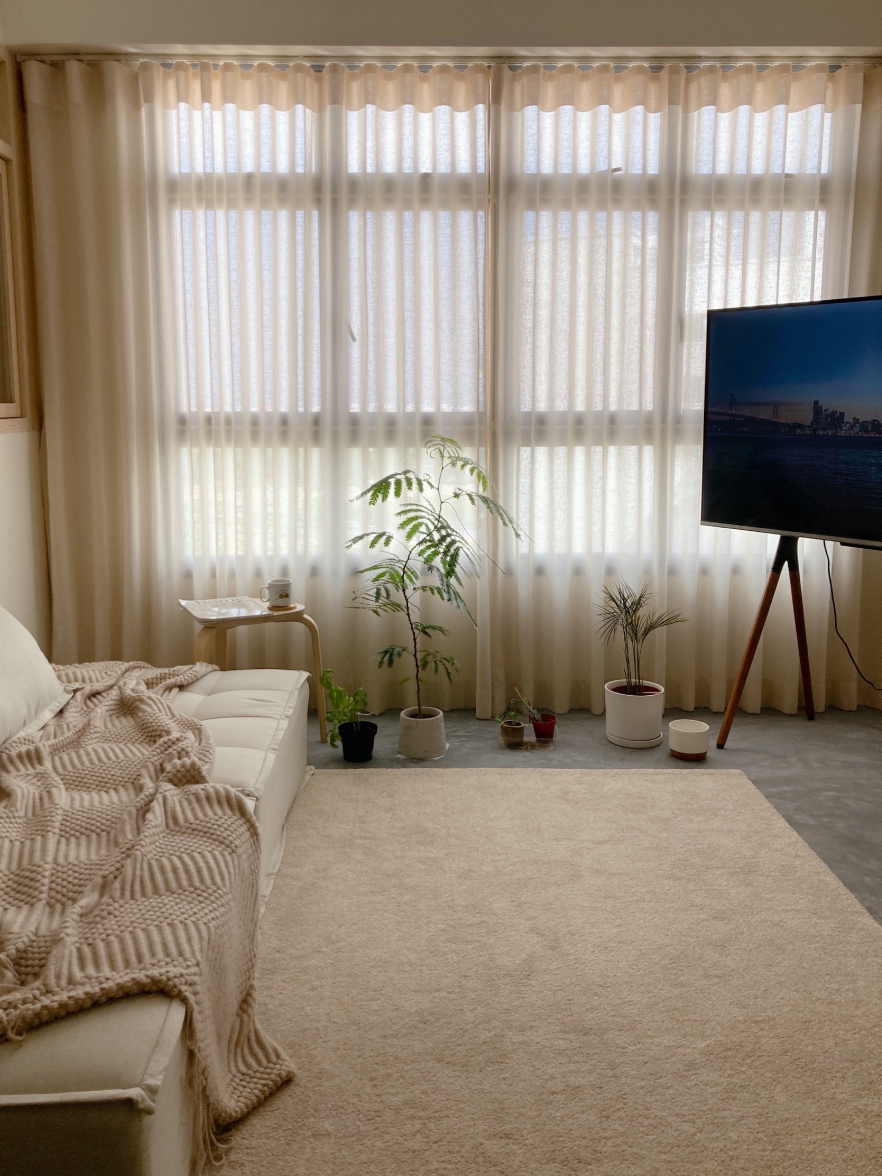 Splurged on curtains and blinds - no regrets! - Cream-colored sofa, beige knitted blanket, large window with sheer curtains