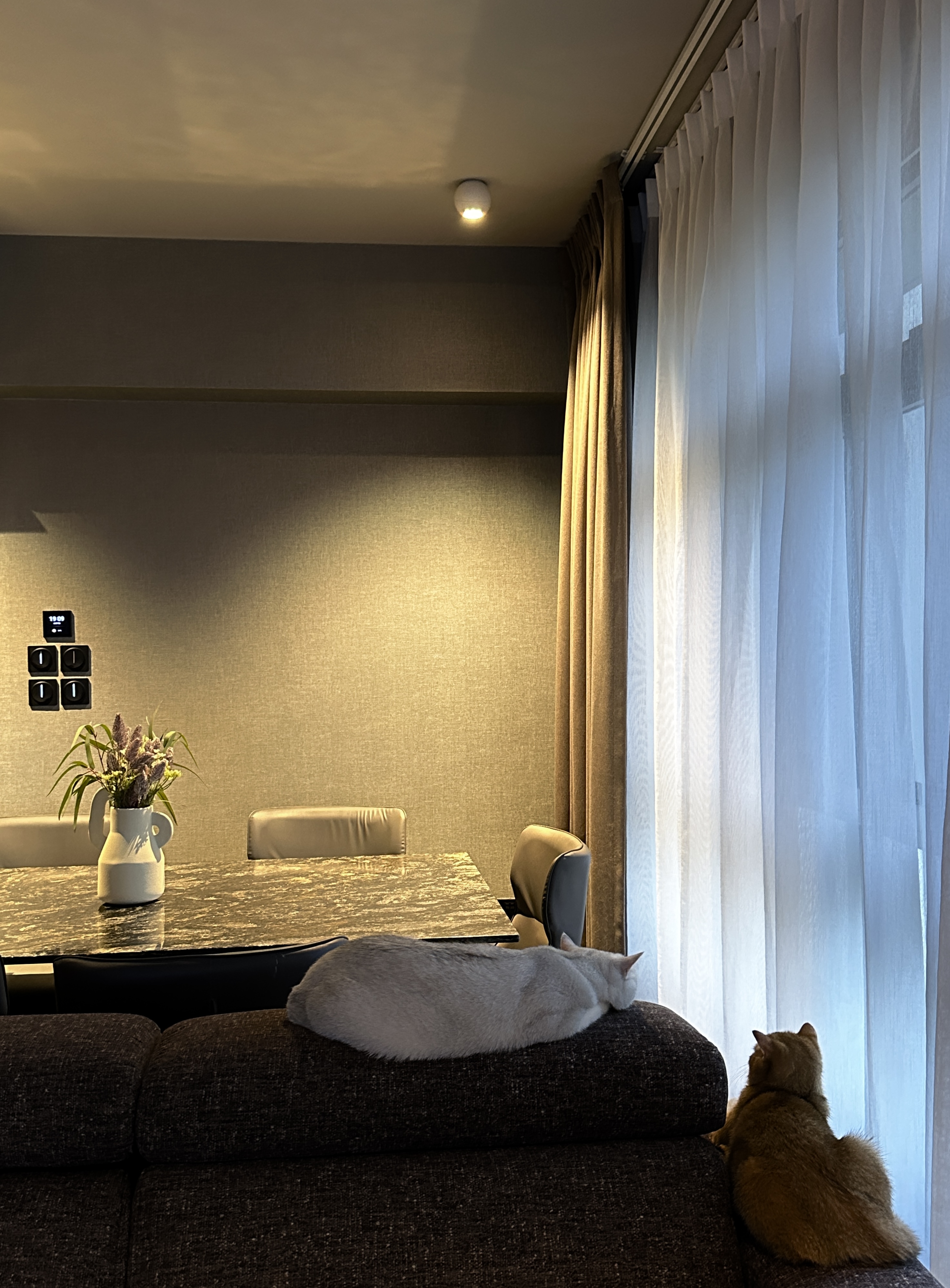 Elegant and Functional: A Glimpse of Our Dark Minimalist Dining Space - Modern minimalist dining room, soft lighting, elegant