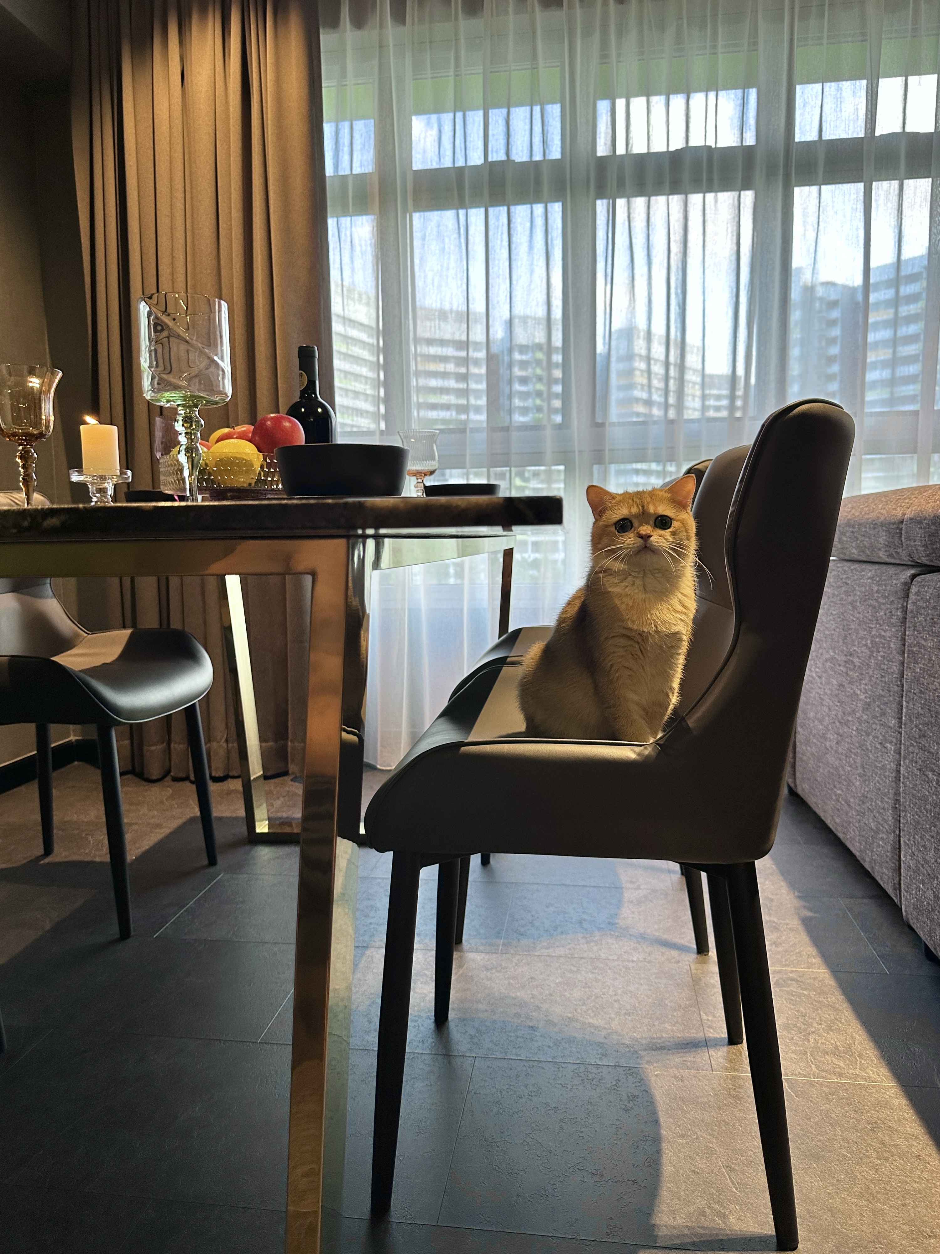 Elegant and Functional: A Glimpse of Our Dark Minimalist Dining Space - Modern dining room, cozy atmosphere, elegant table